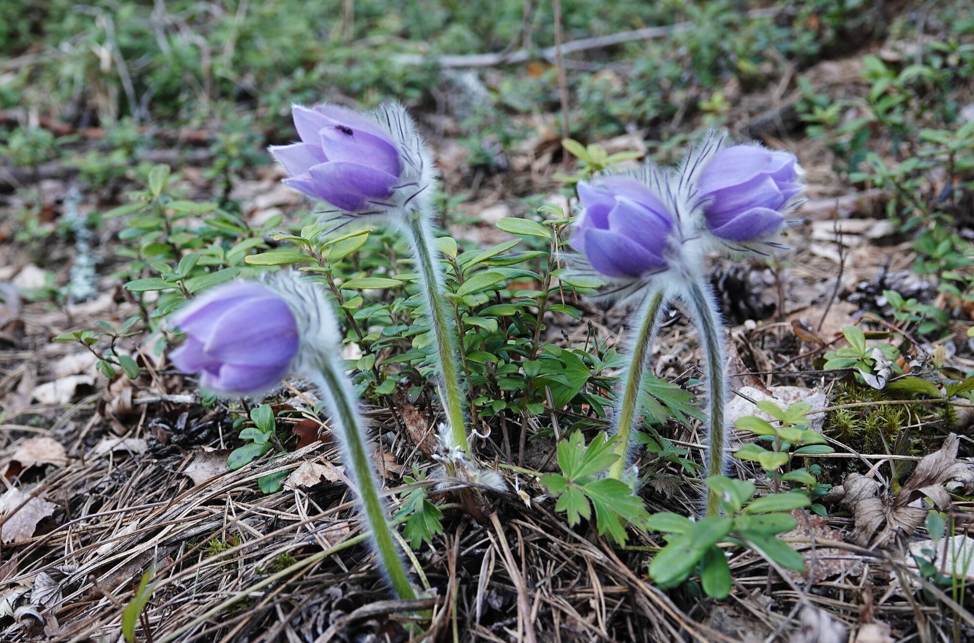 Valokuvaaja: Raija Oksanen