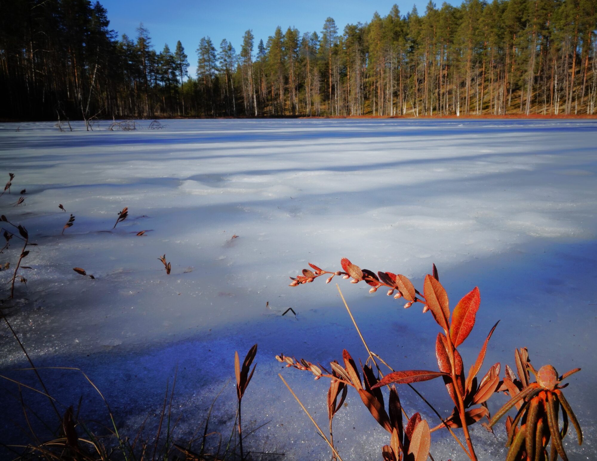 Valokuvaaja: Kaarina Heiskanen