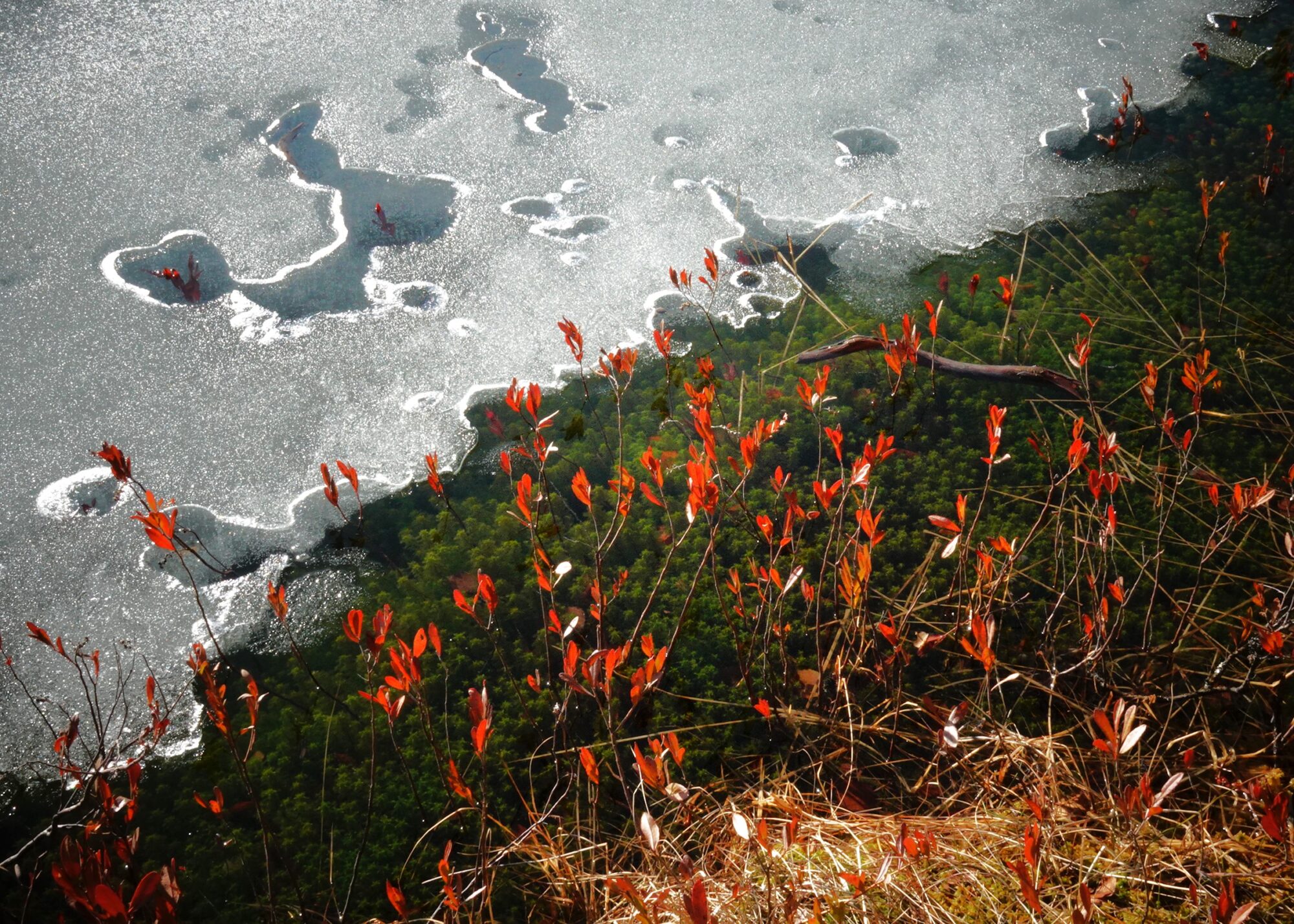 Valokuvaaja: Kaarina Heiskanen