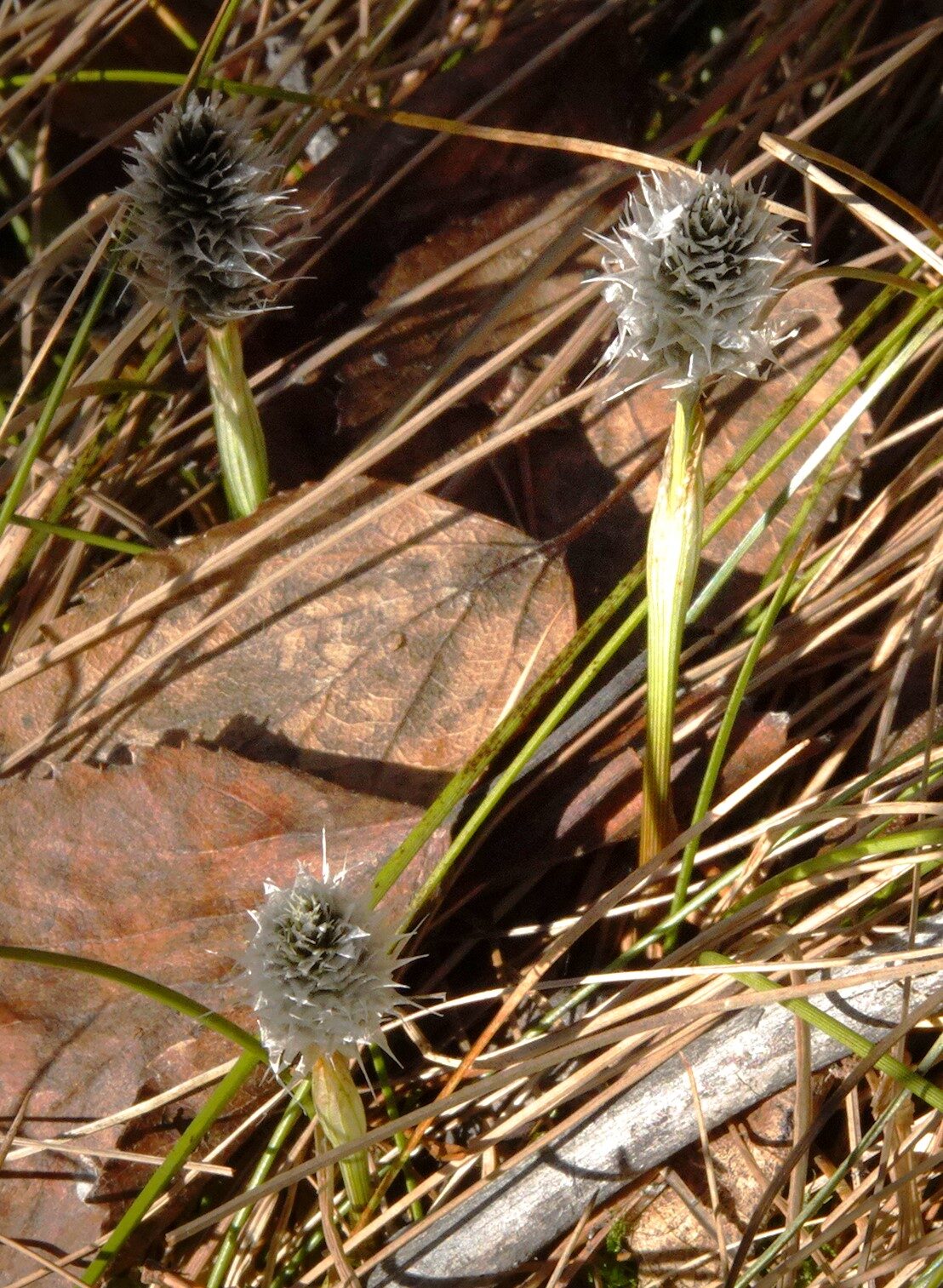 Valokuvaaja: Kaarina Heiskanen