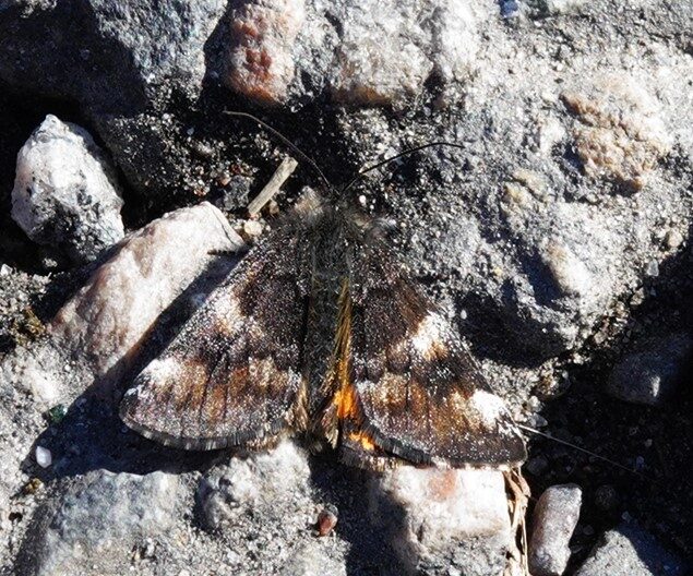 Valokuvaaja: Kaarina Heiskanen