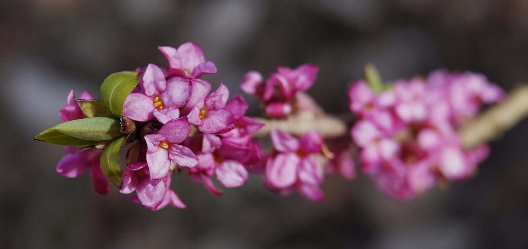 Valokuvaaja: Kaarina Heiskanen