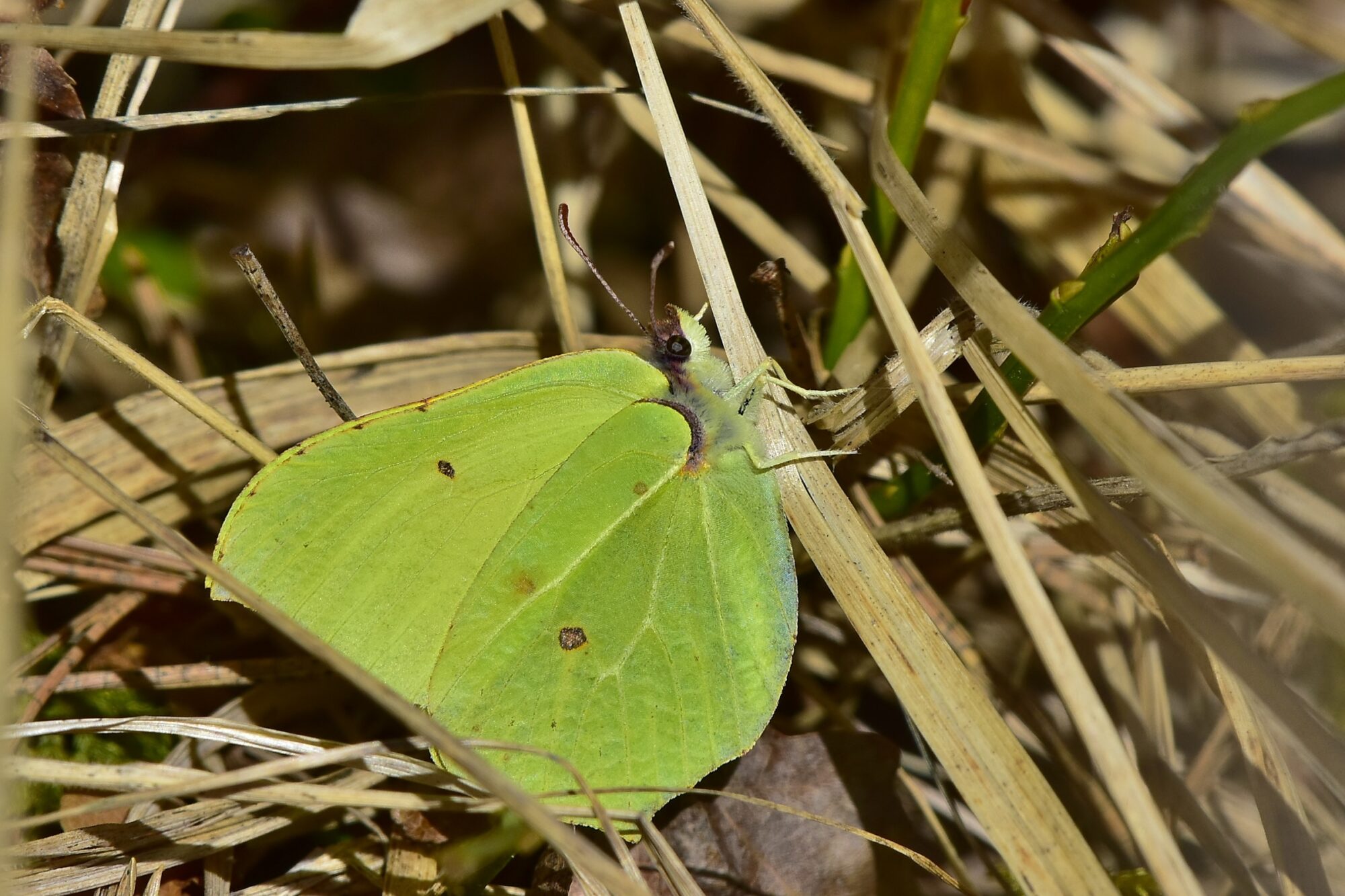 Valokuvaaja: Markku Pelkonen