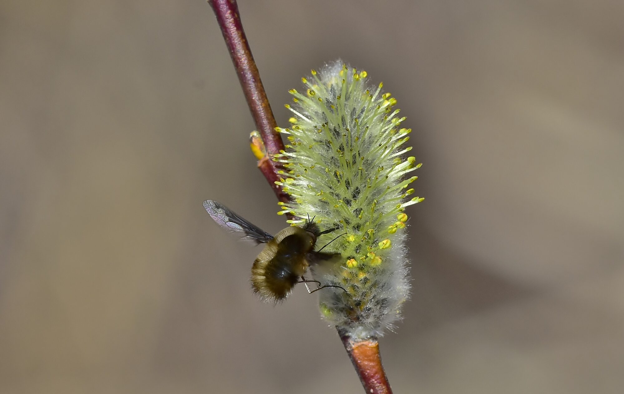 Valokuvaaja: Markku Pelkonen