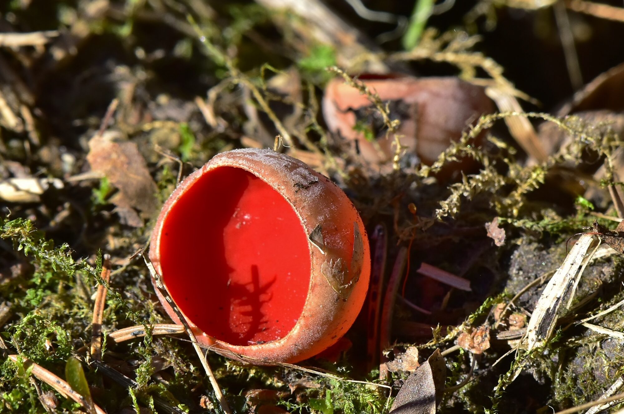 Valokuvaaja: Markku Pelkonen