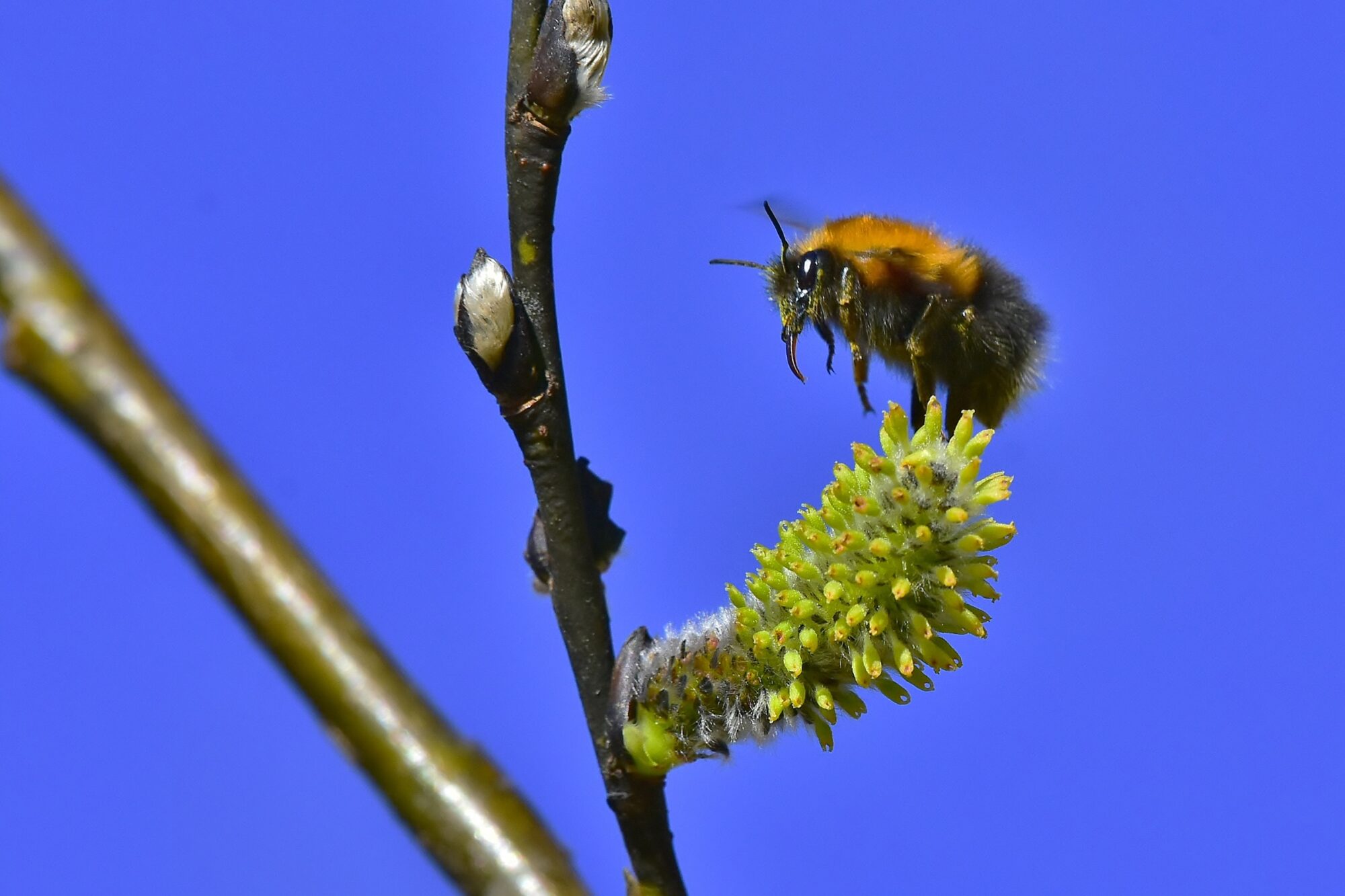 Valokuvaaja: Markku Pelkonen