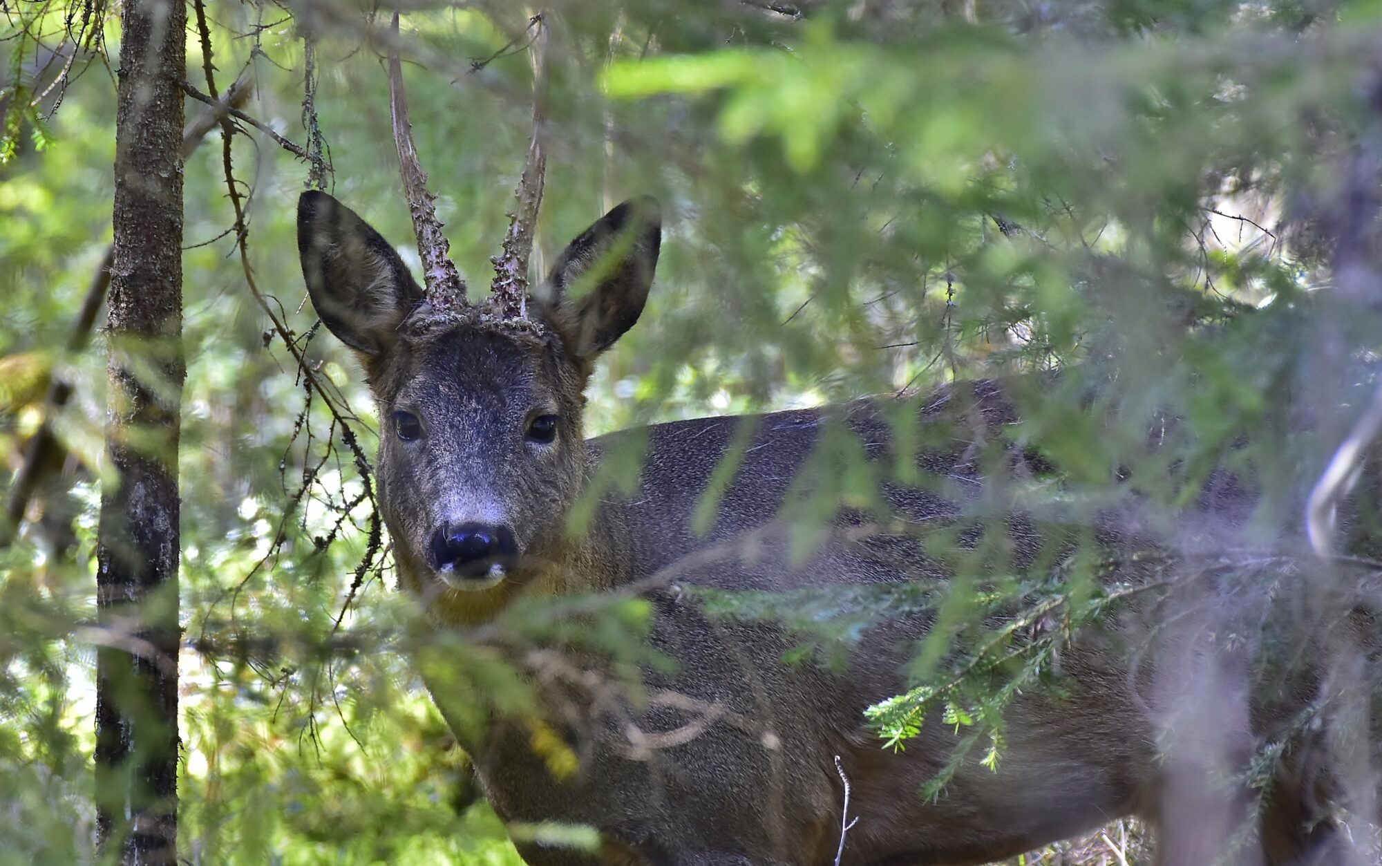 Valokuvaaja: Markku Pelkonen