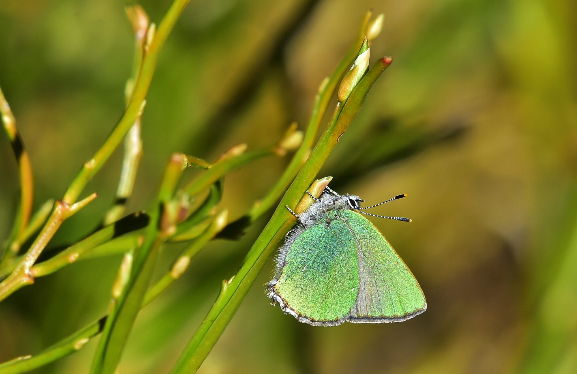 Valokuvaaja: Markku Pelkonen