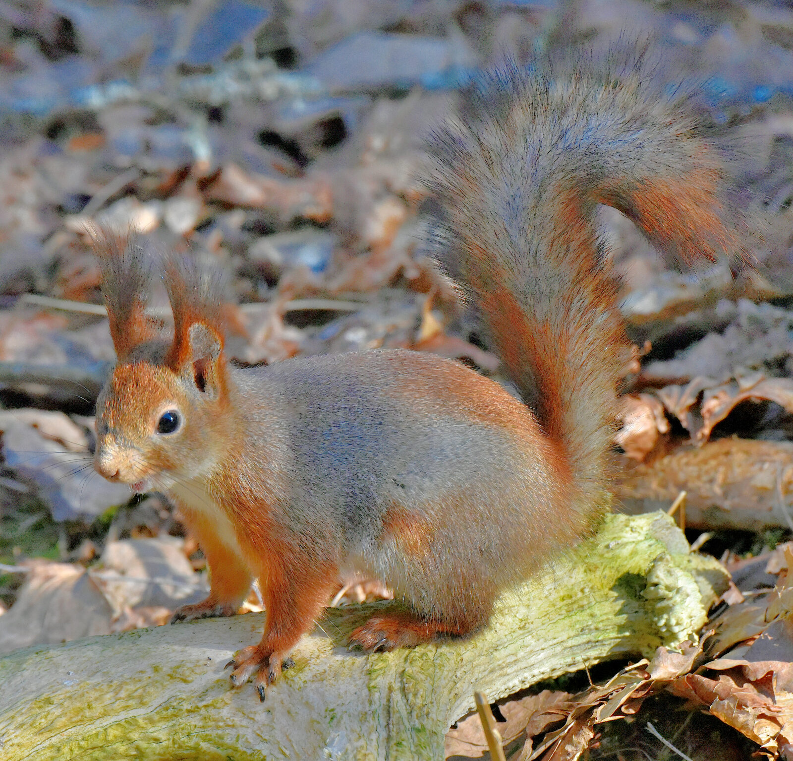 Valokuvaaja: Reijo Juurinen