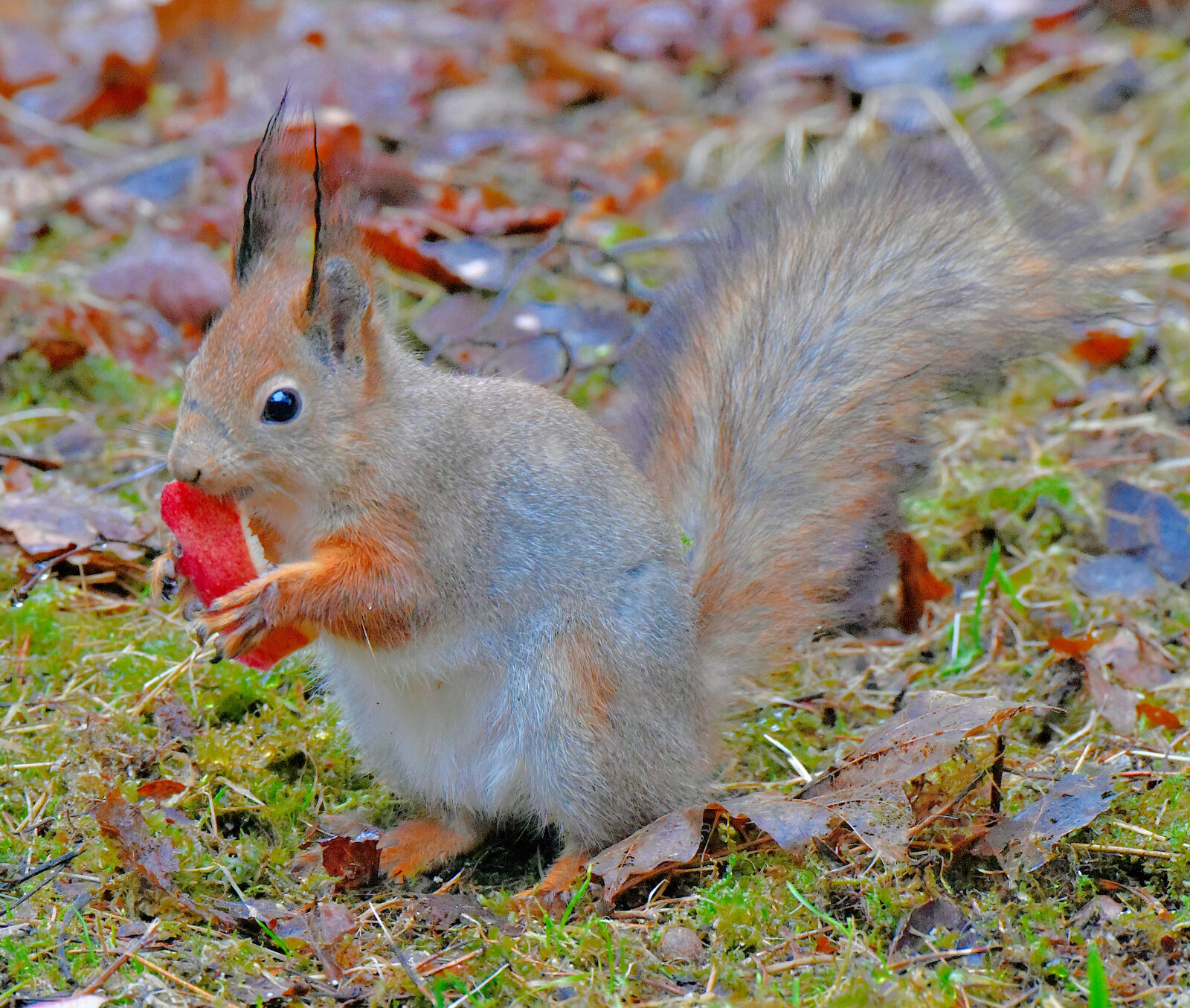 Valokuvaaja: Reijo Juurinen