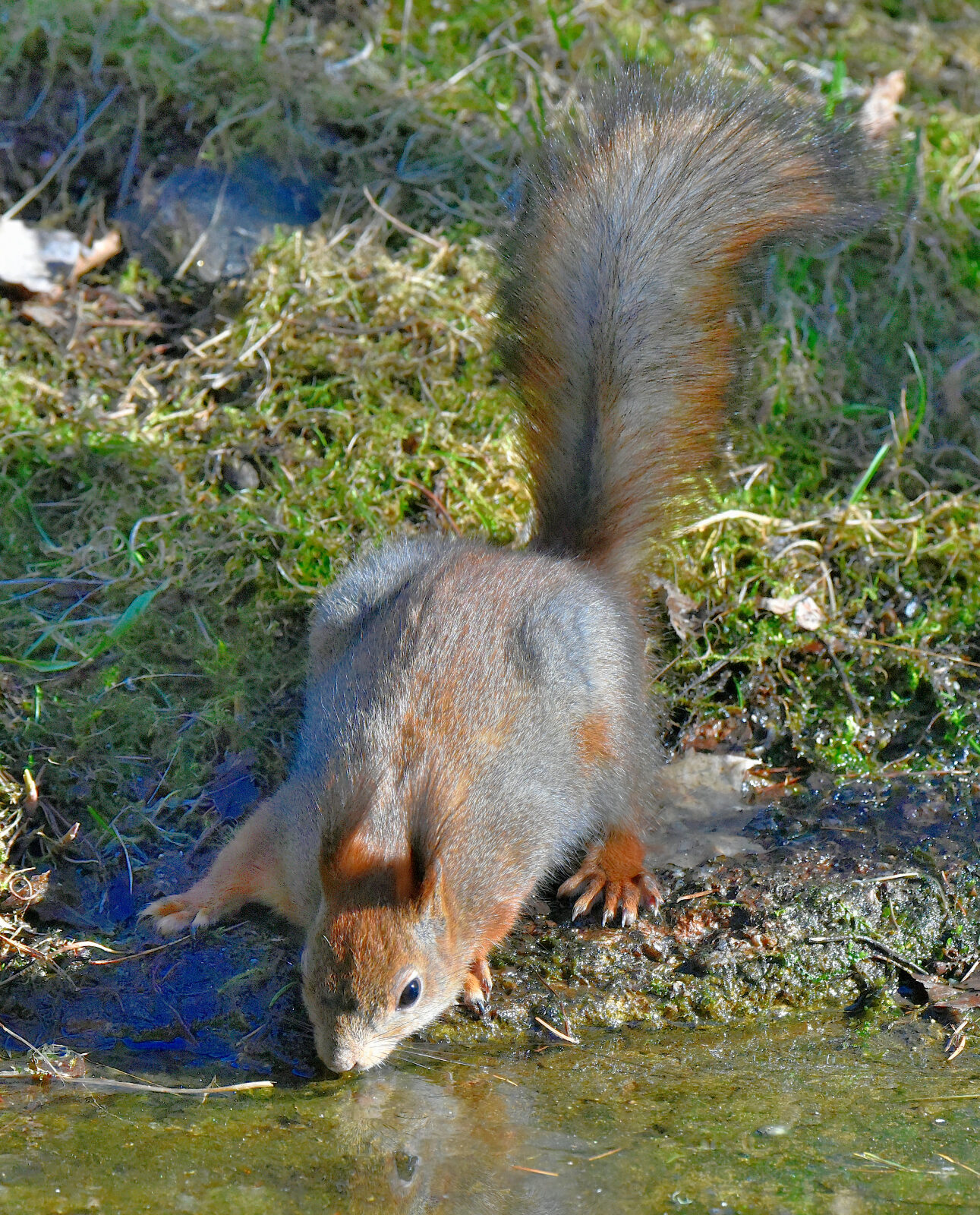 Valokuvaaja: Reijo Juurinen