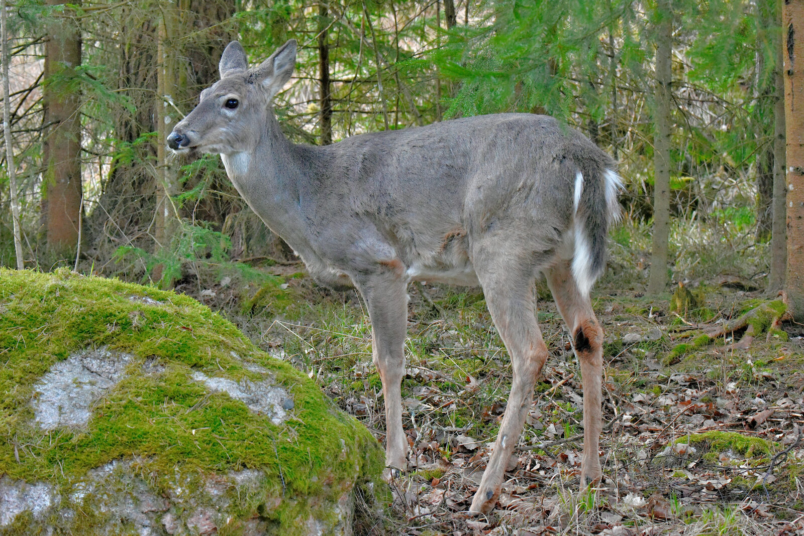 Valokuvaaja: Reijo Juurinen