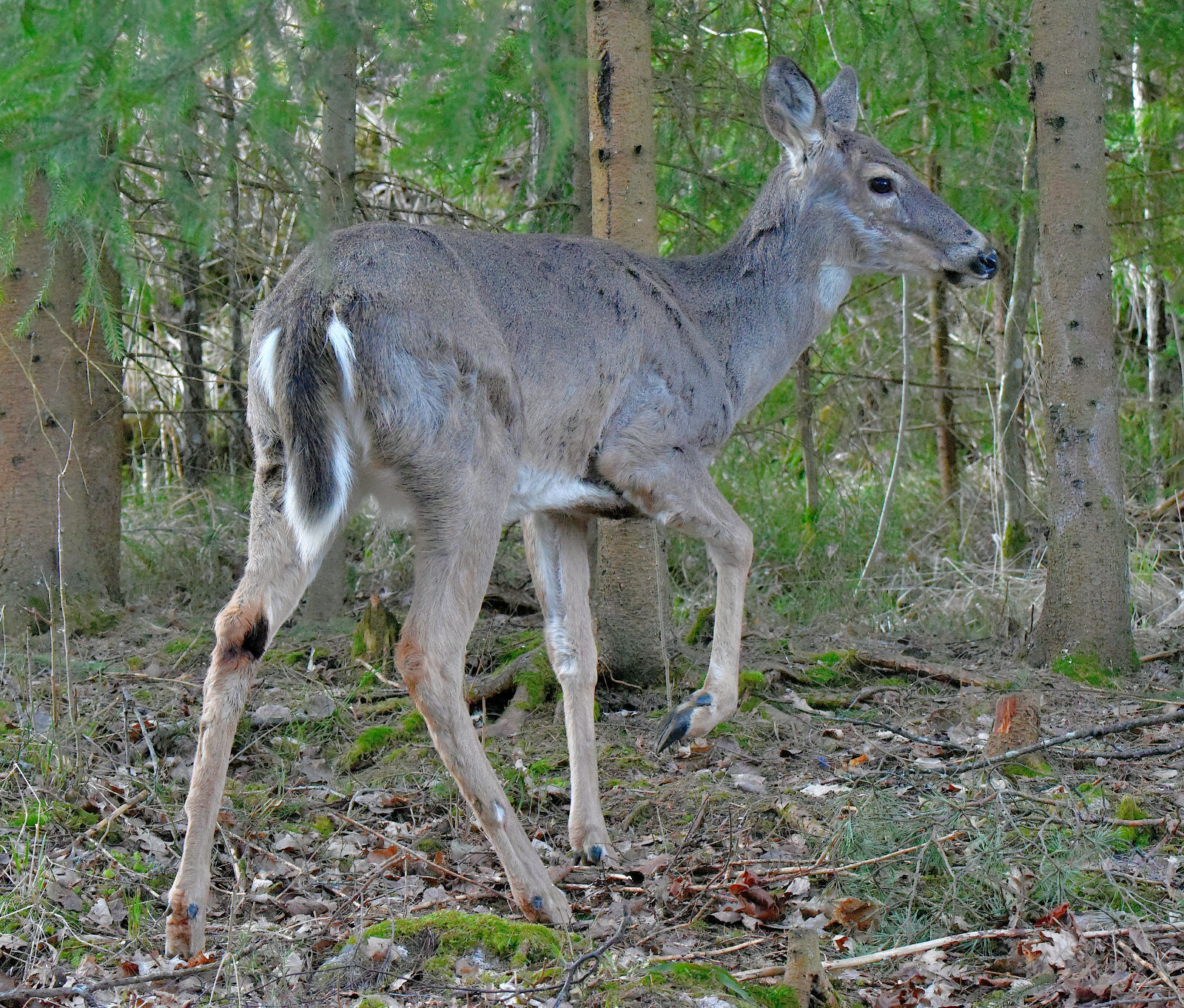 Valokuvaaja: Reijo Juurinen
