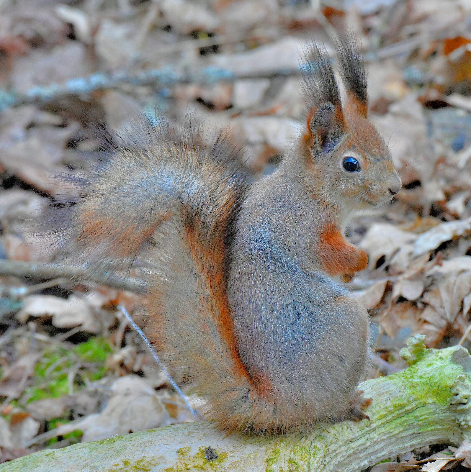 Valokuvaaja: Reijo Juurinen