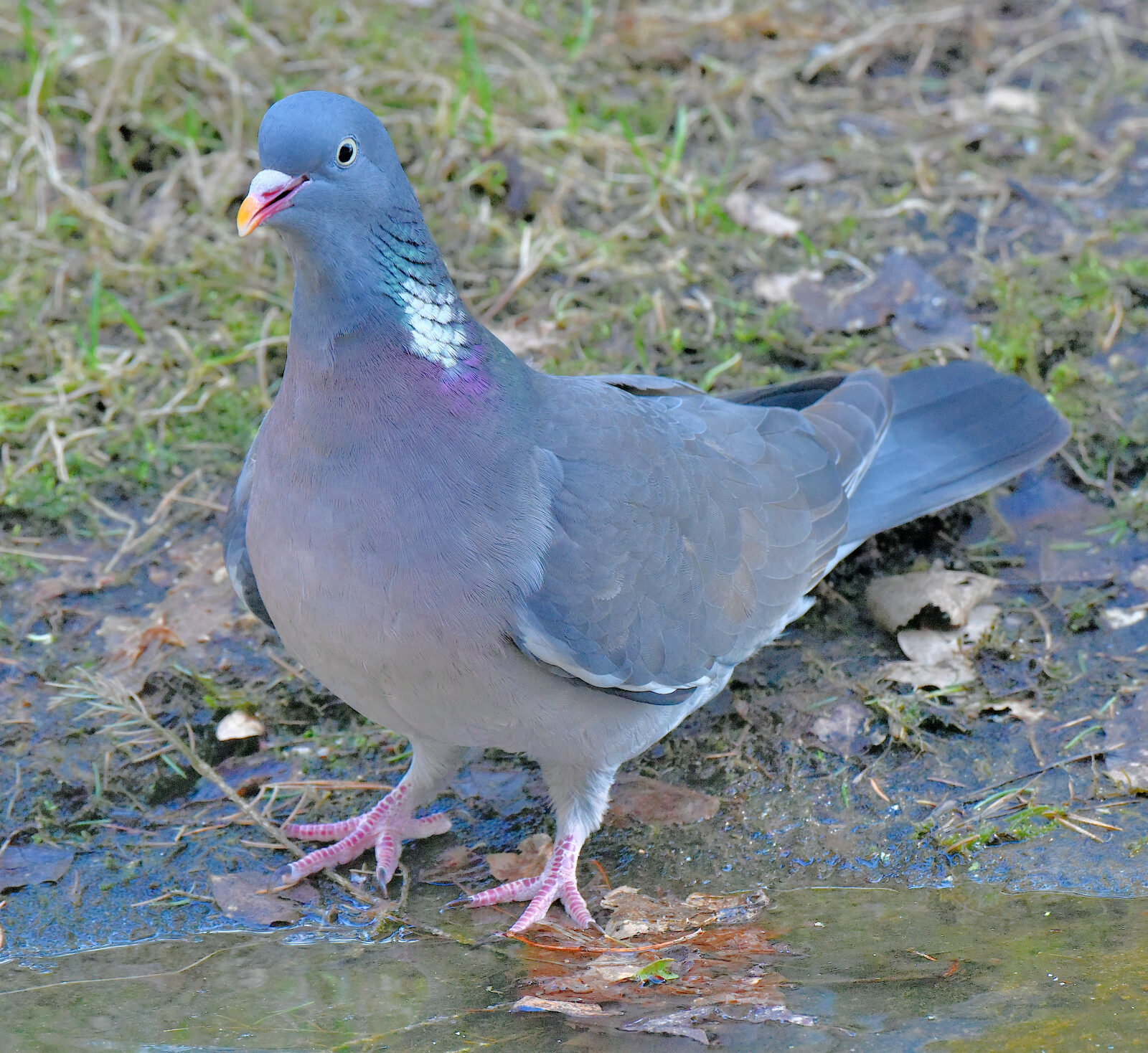 Valokuvaaja: Reijo Juurinen