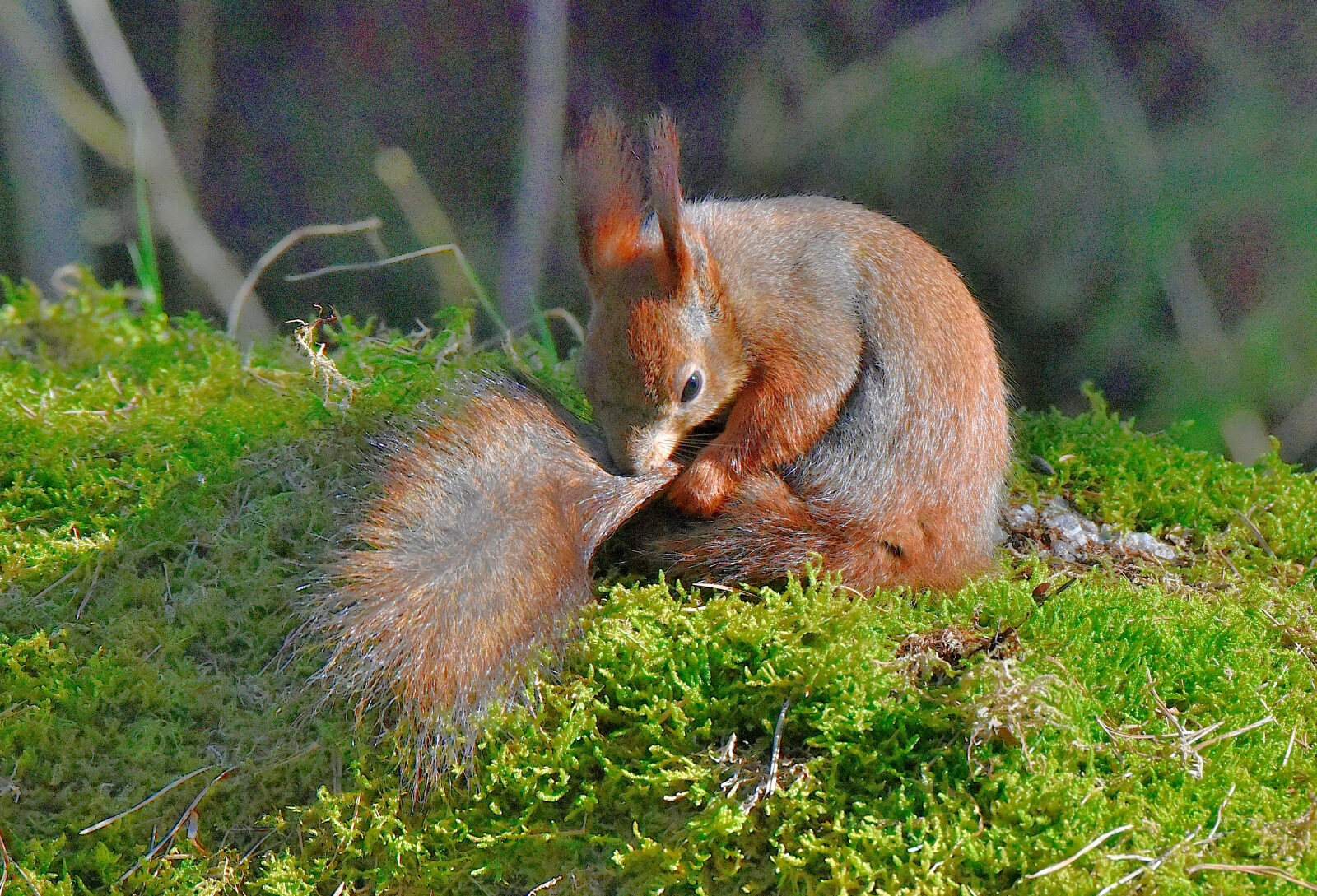 Valokuvaaja: Reijo Juurinen