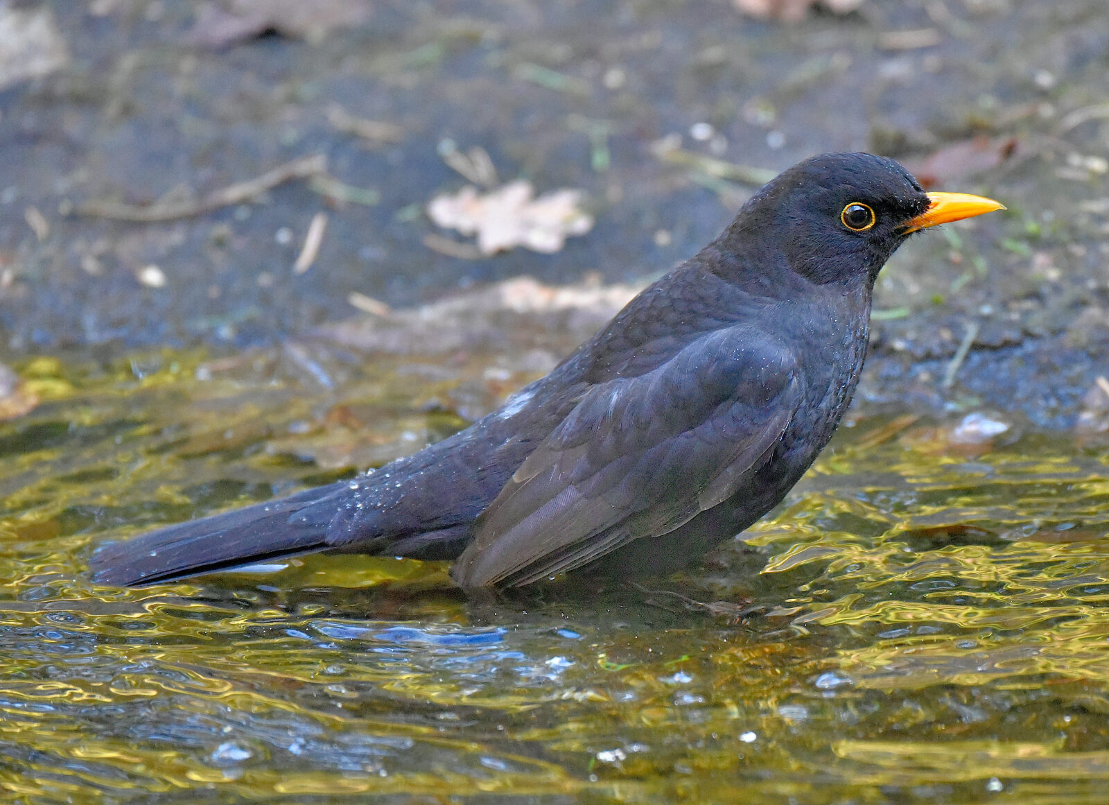 Valokuvaaja: Reijo Juurinen