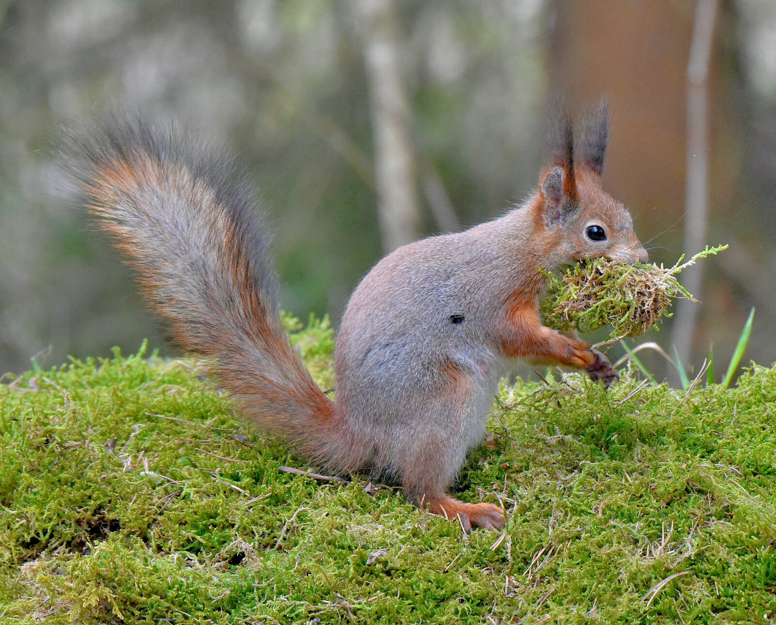 Valokuvaaja: Reijo Juurinen