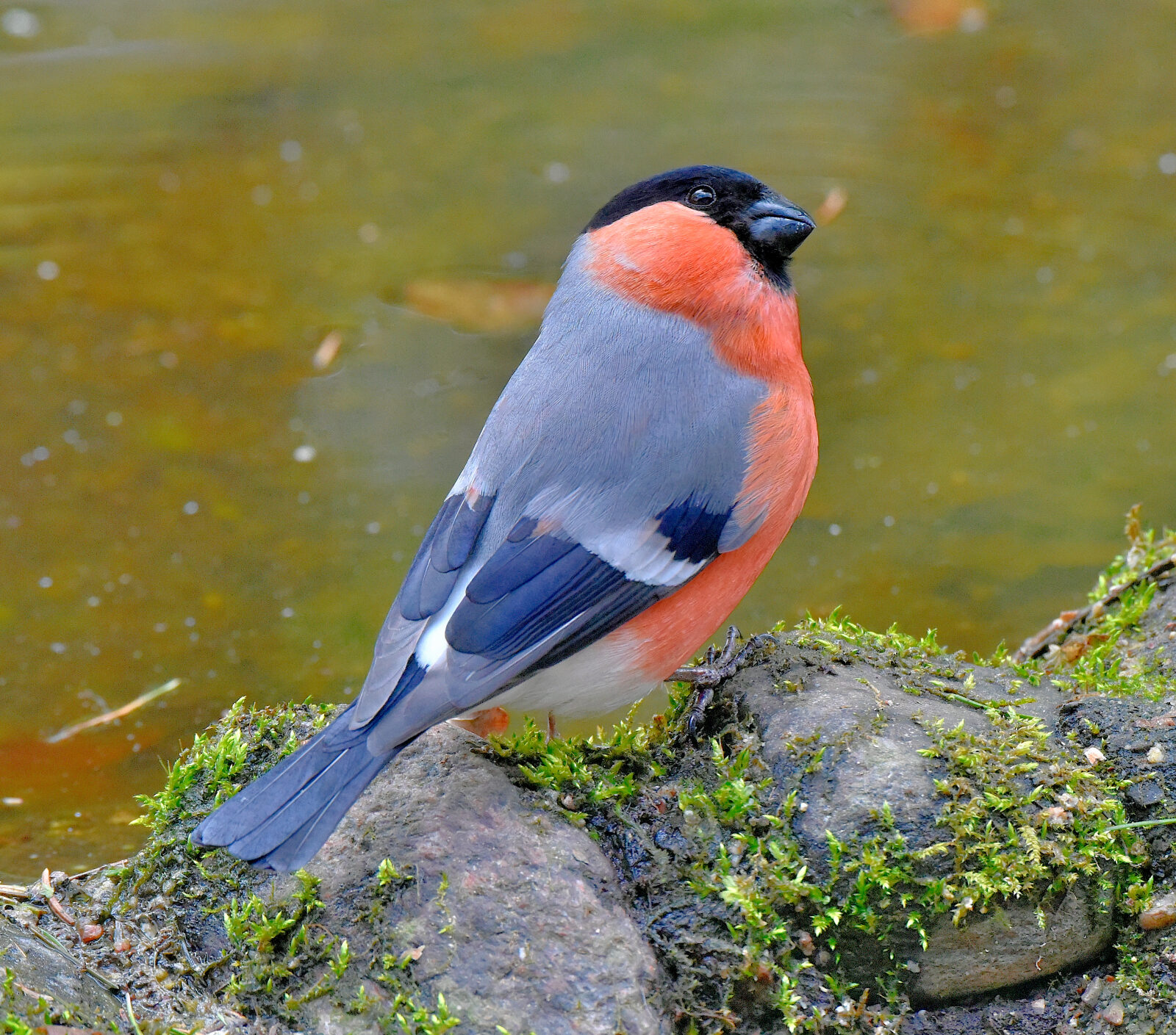Valokuvaaja: Reijo Juurinen