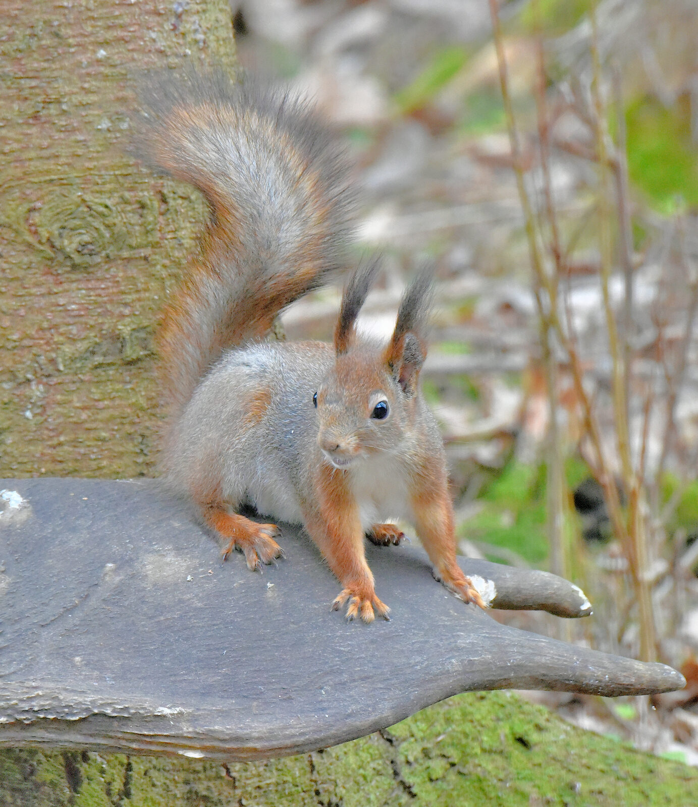Valokuvaaja: Reijo Juurinen