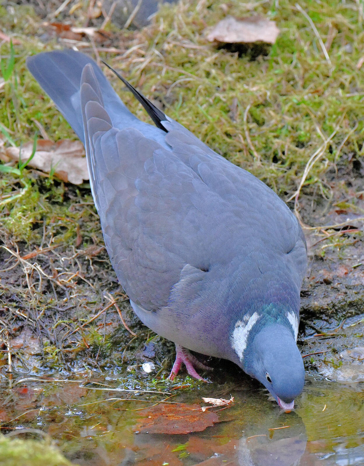 Valokuvaaja: Reijo Juurinen