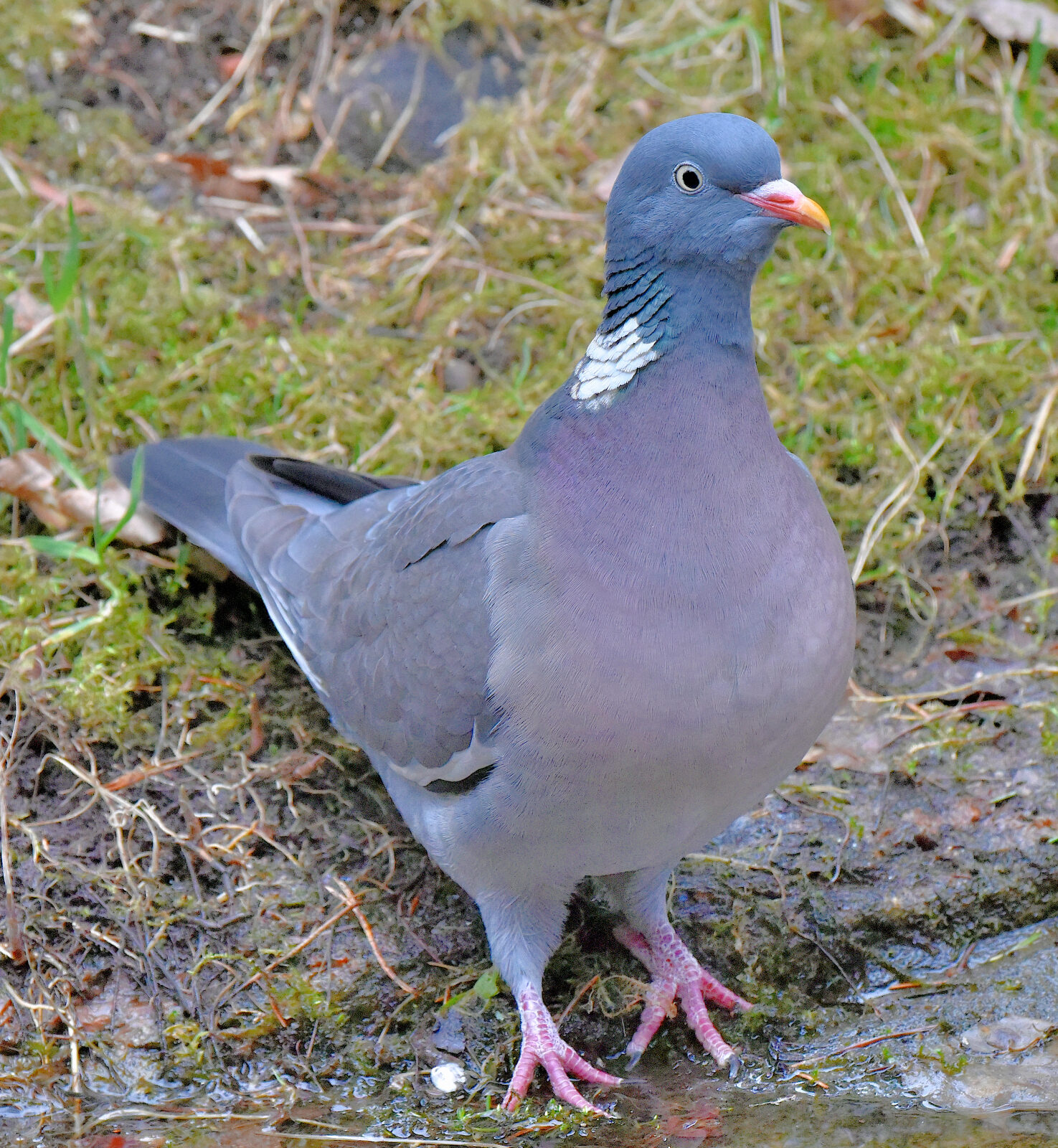 Valokuvaaja: Reijo Juurinen