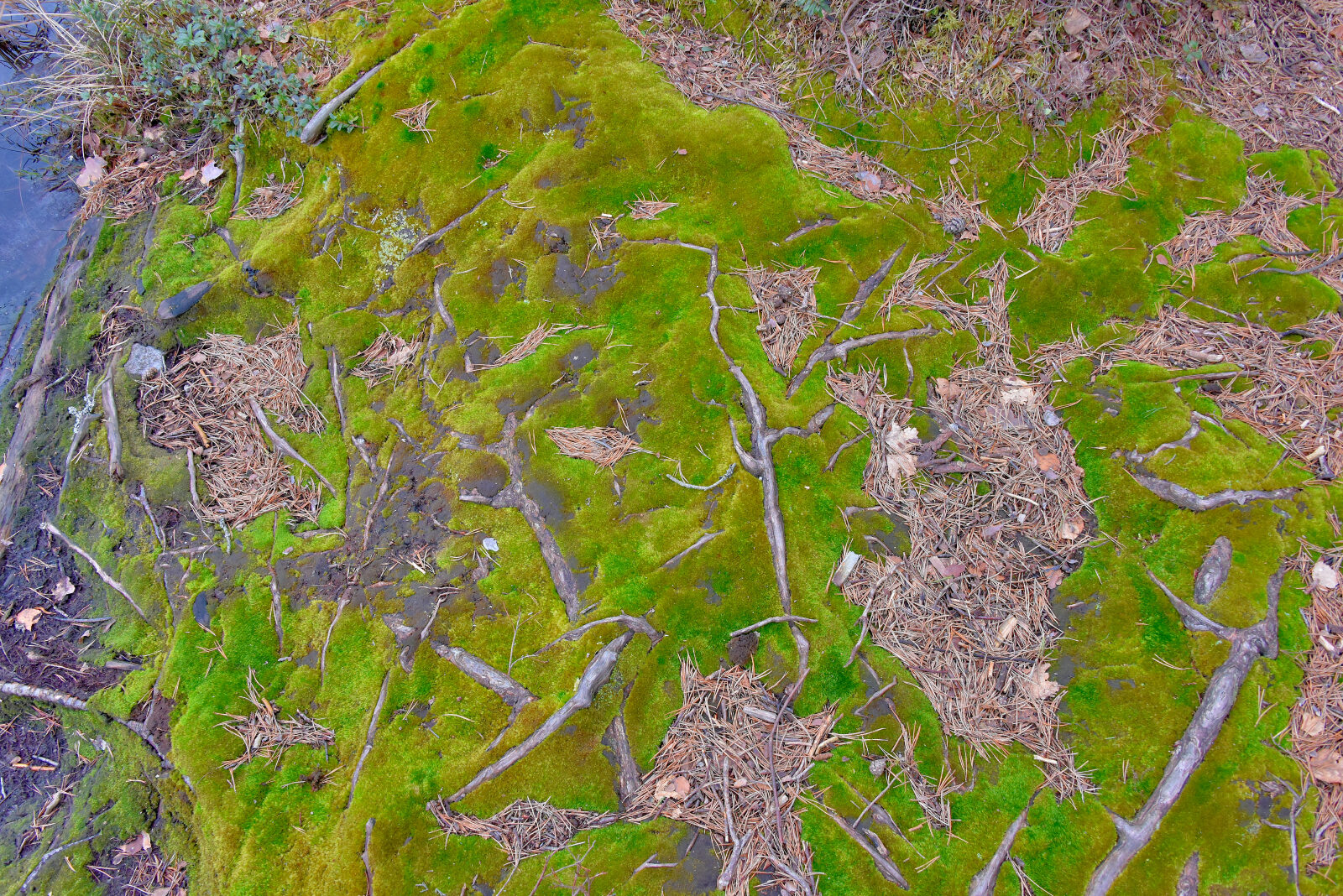 Valokuvaaja: Reijo Juurinen