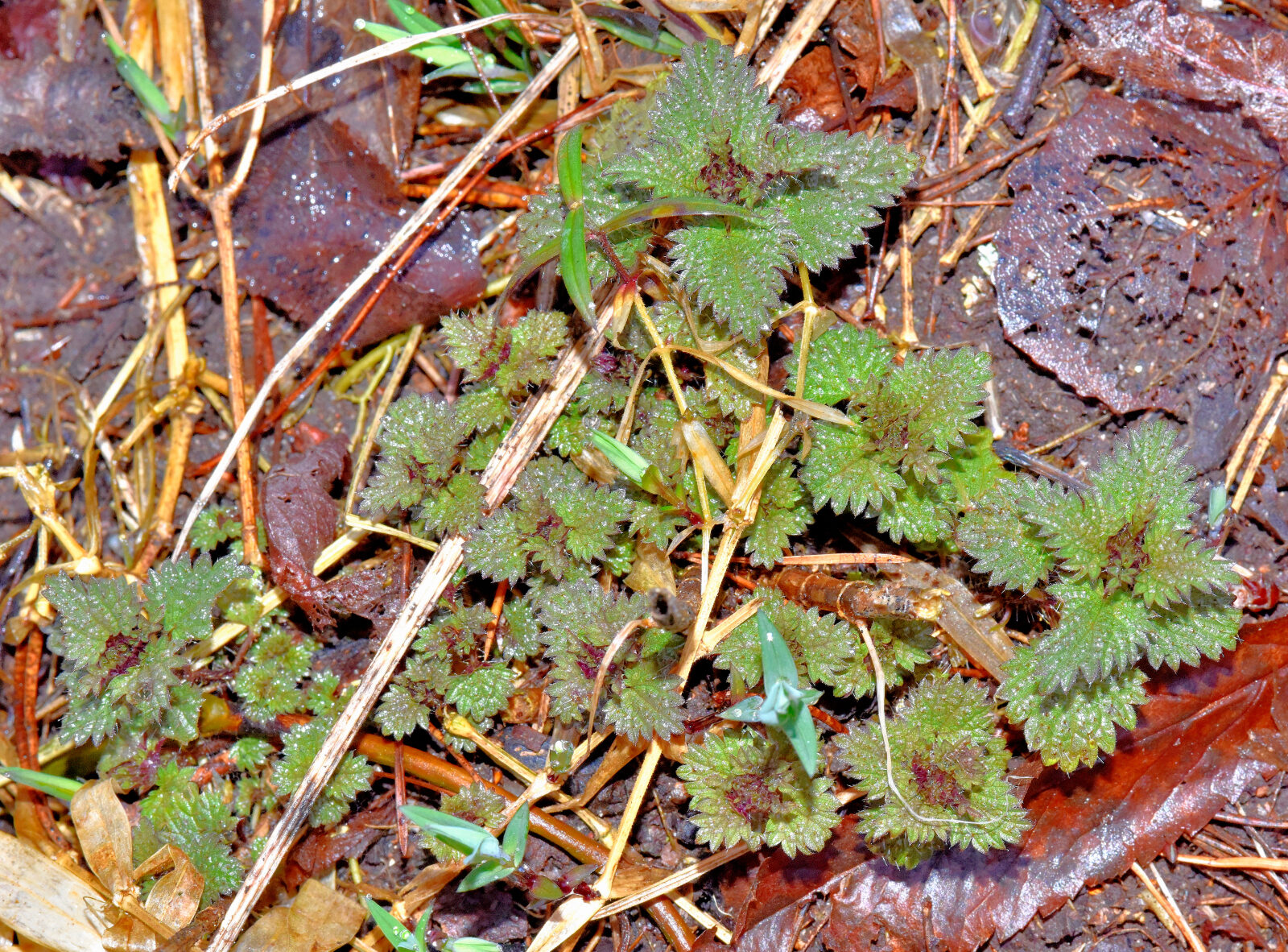 Valokuvaaja: Reijo Juurinen