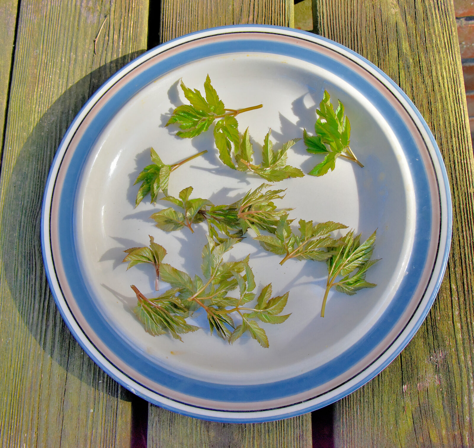 Valokuvaaja: Reijo Juurinen