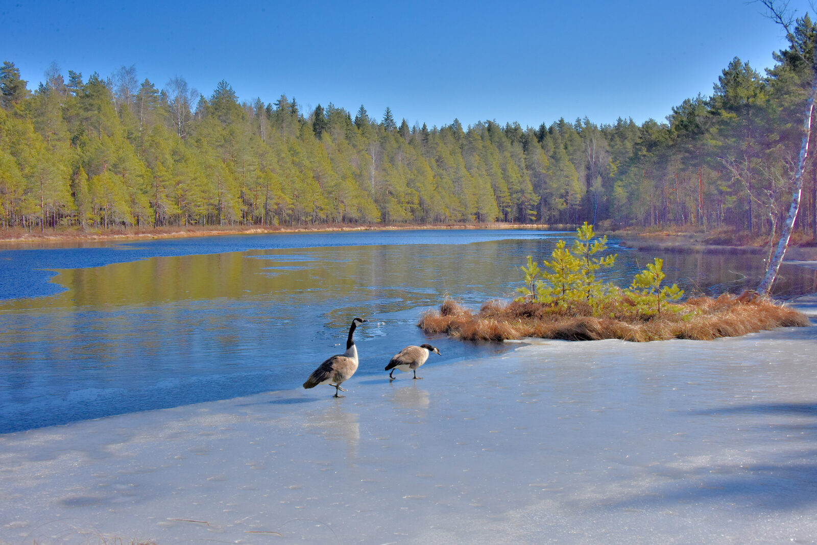 Valokuvaaja: Reijo Juurinen