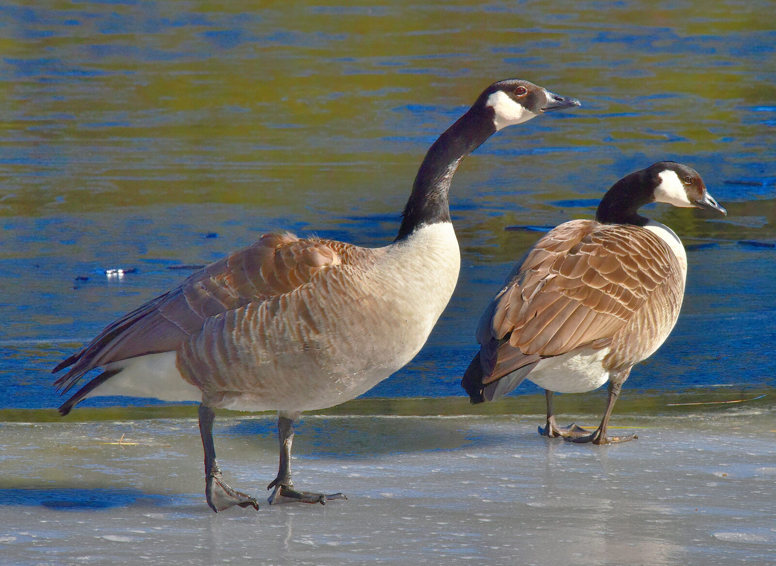 Valokuvaaja: Reijo Juurinen