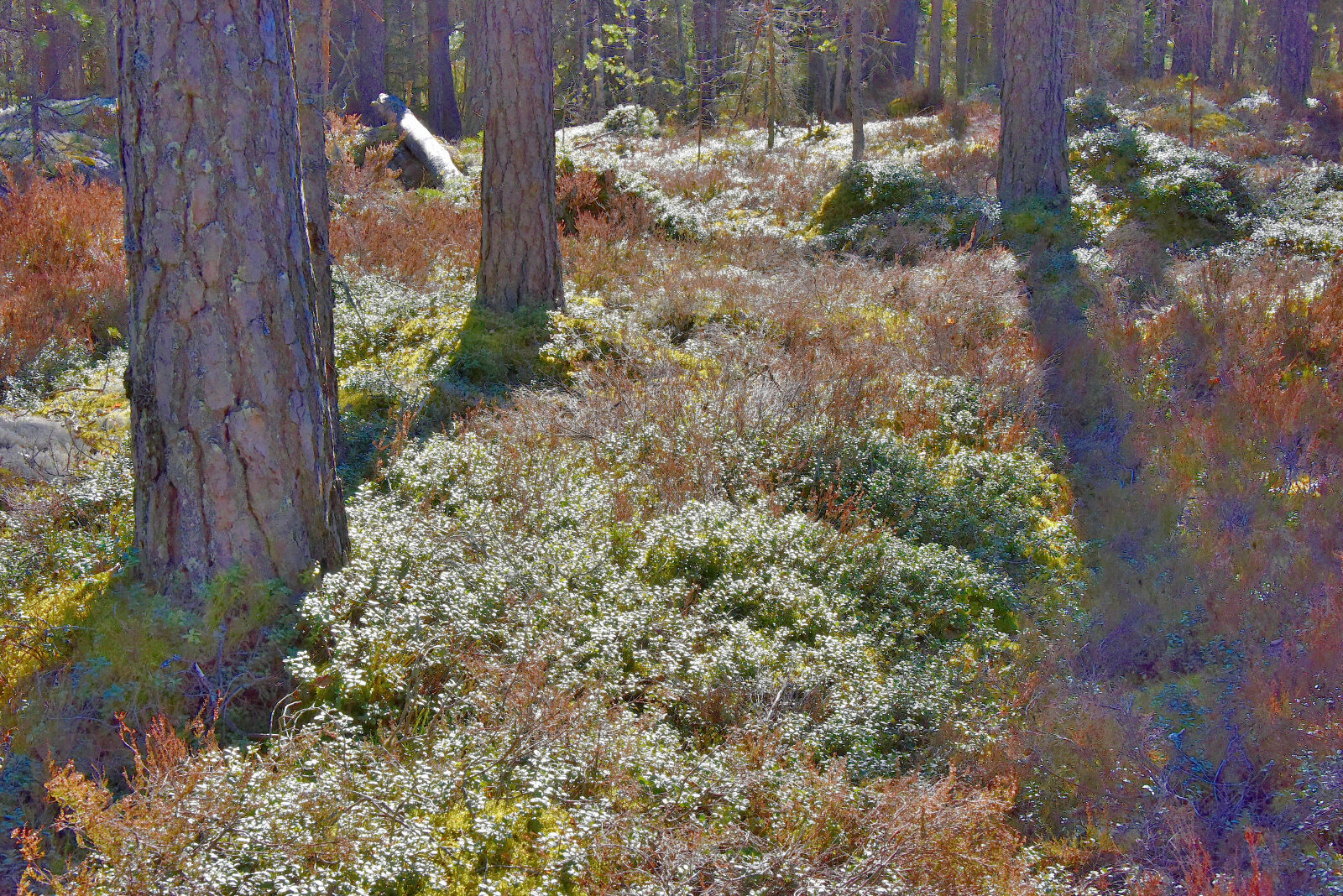 Valokuvaaja: Reijo Juurinen