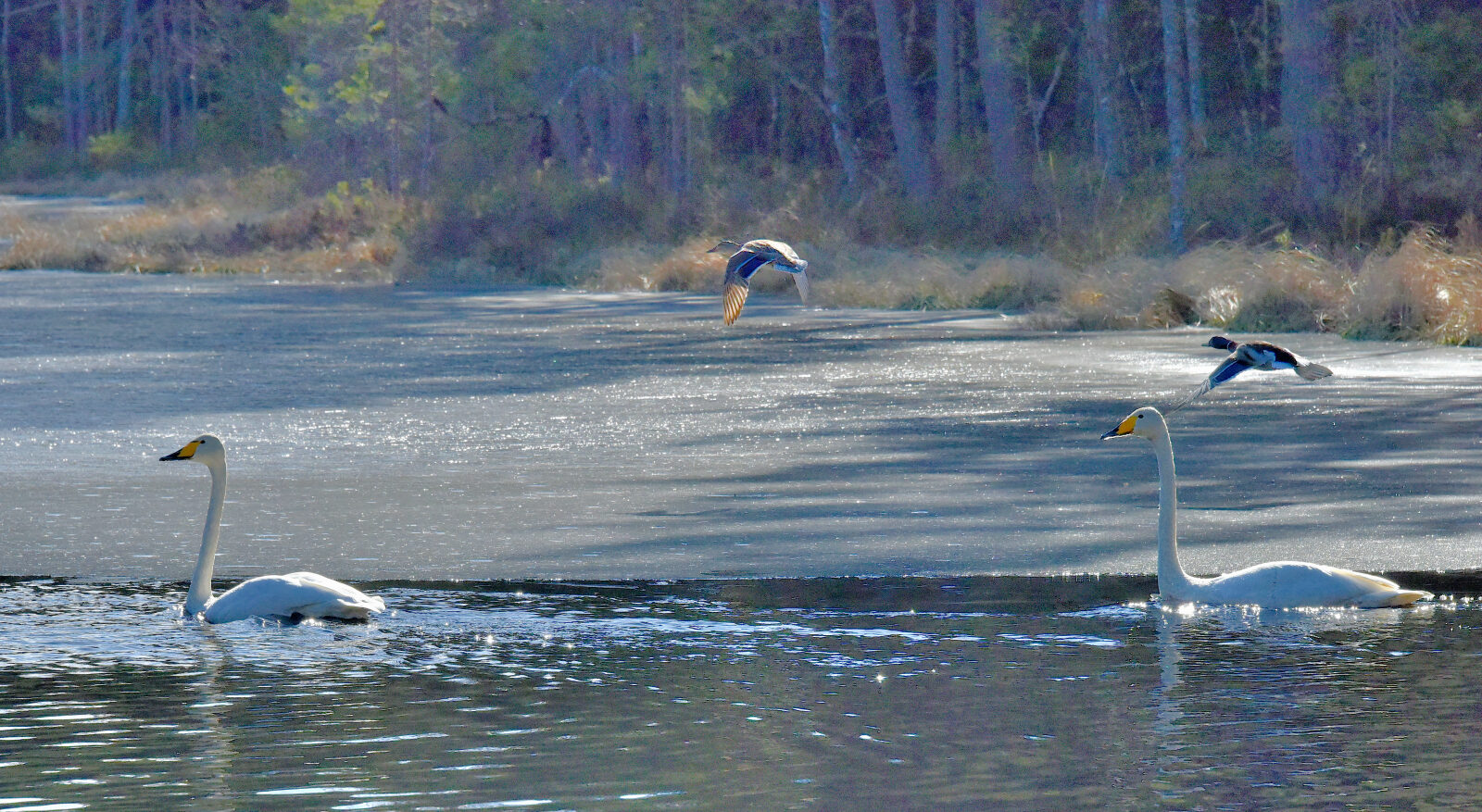 Valokuvaaja: Reijo Juurinen