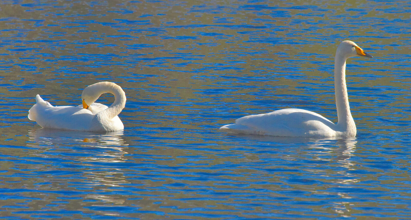 Valokuvaaja: Reijo Juurinen