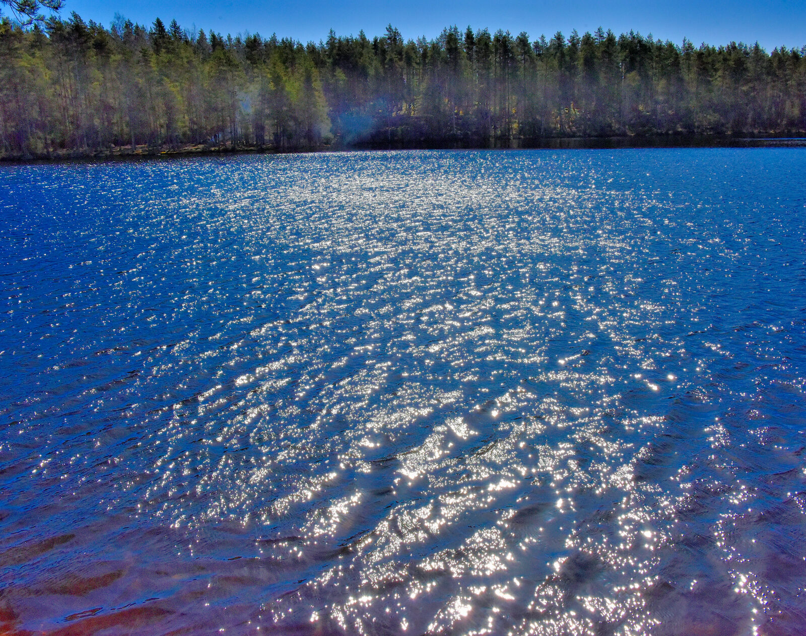 Valokuvaaja: Reijo Juurinen