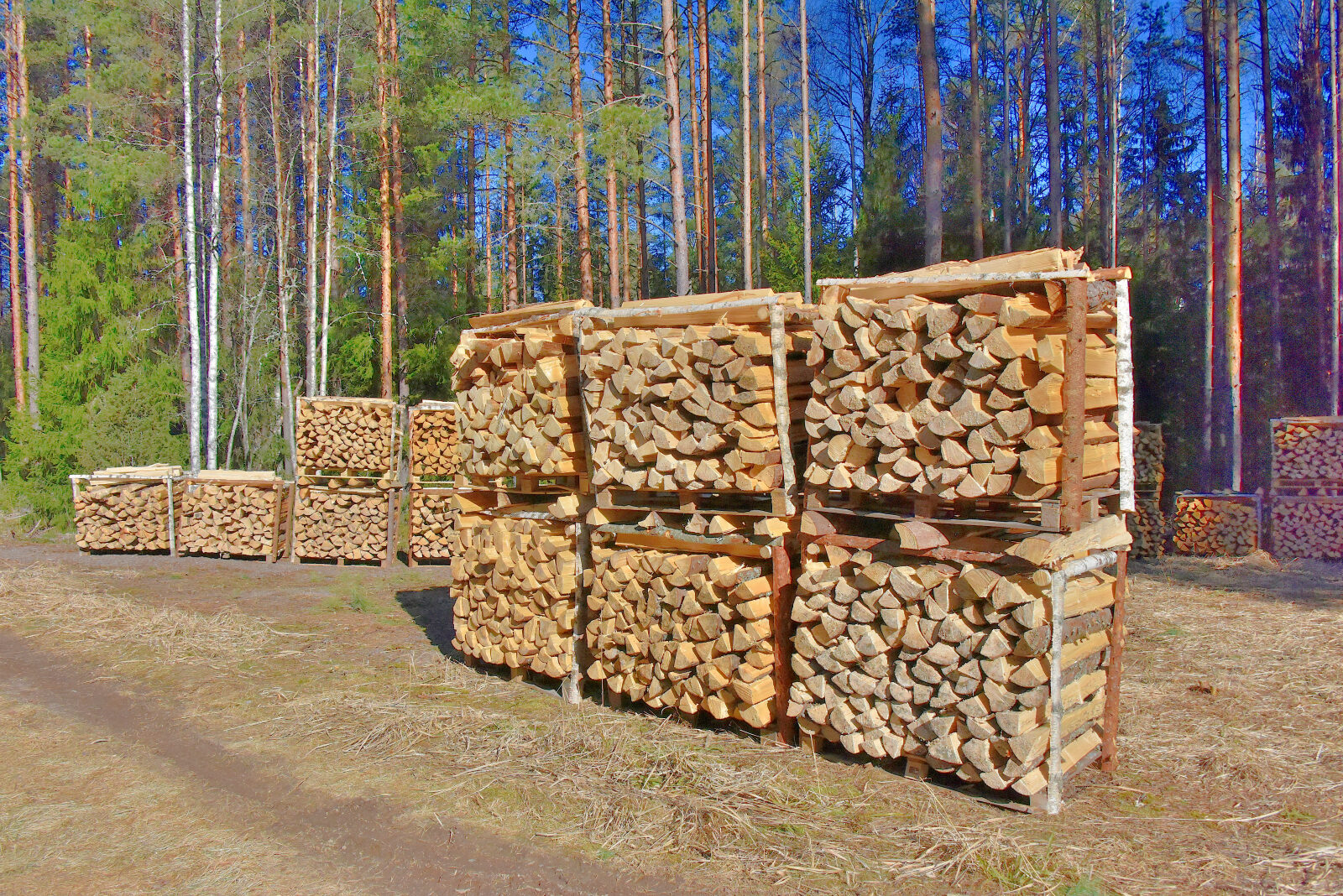 Valokuvaaja: Reijo Juurinen