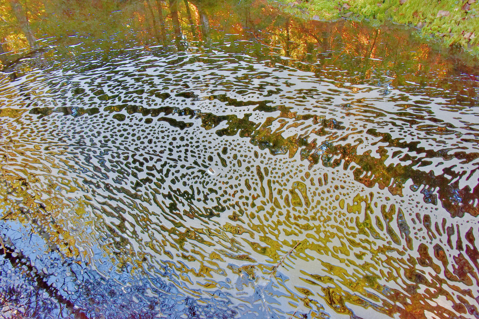 Valokuvaaja: Reijo Juurinen