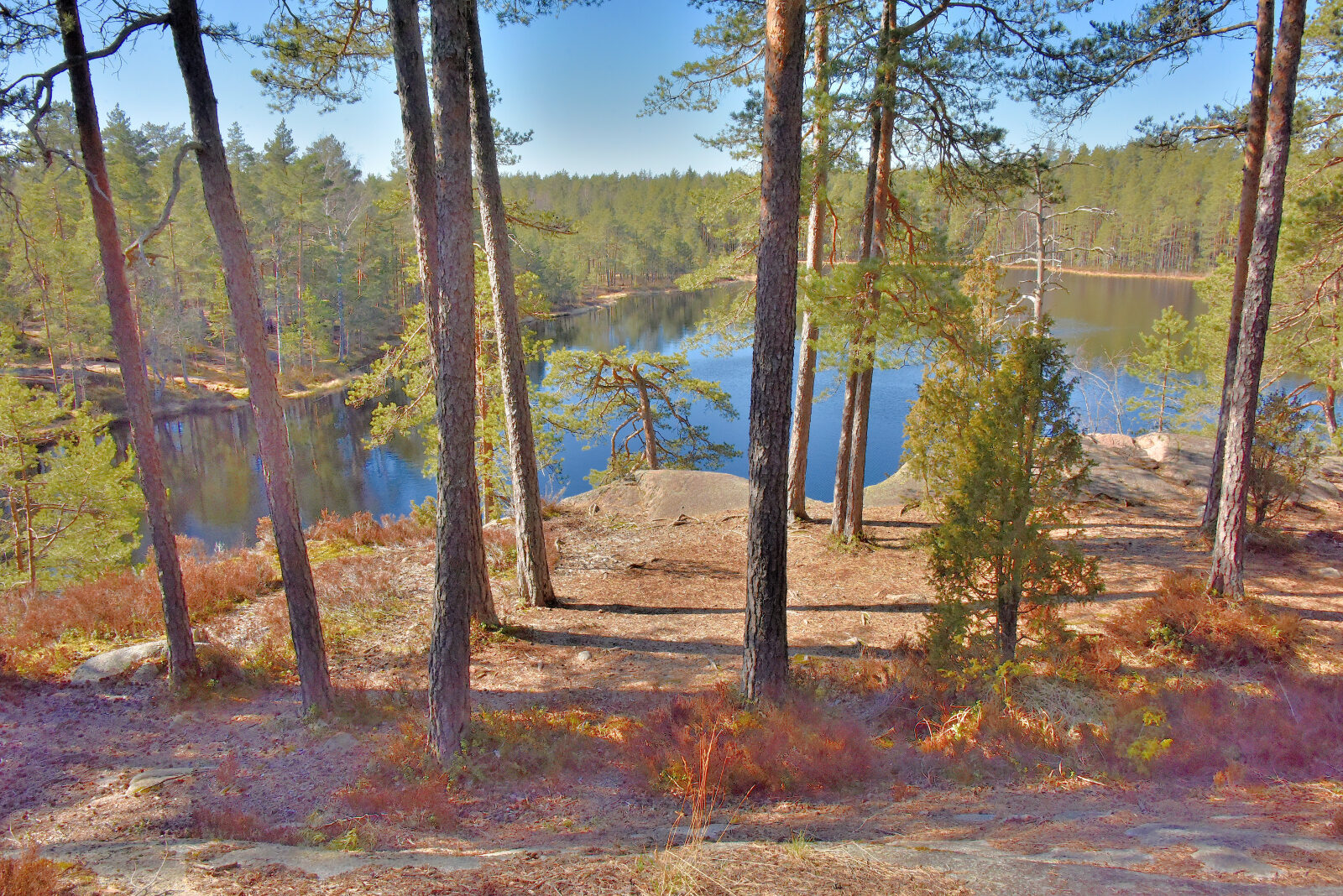 Valokuvaaja: Reijo Juurinen