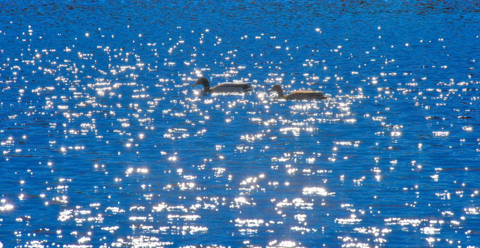 Valokuvaaja: Reijo Juurinen