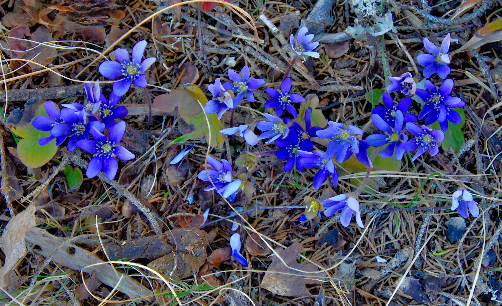 Valokuvaaja: Reijo Juurinen