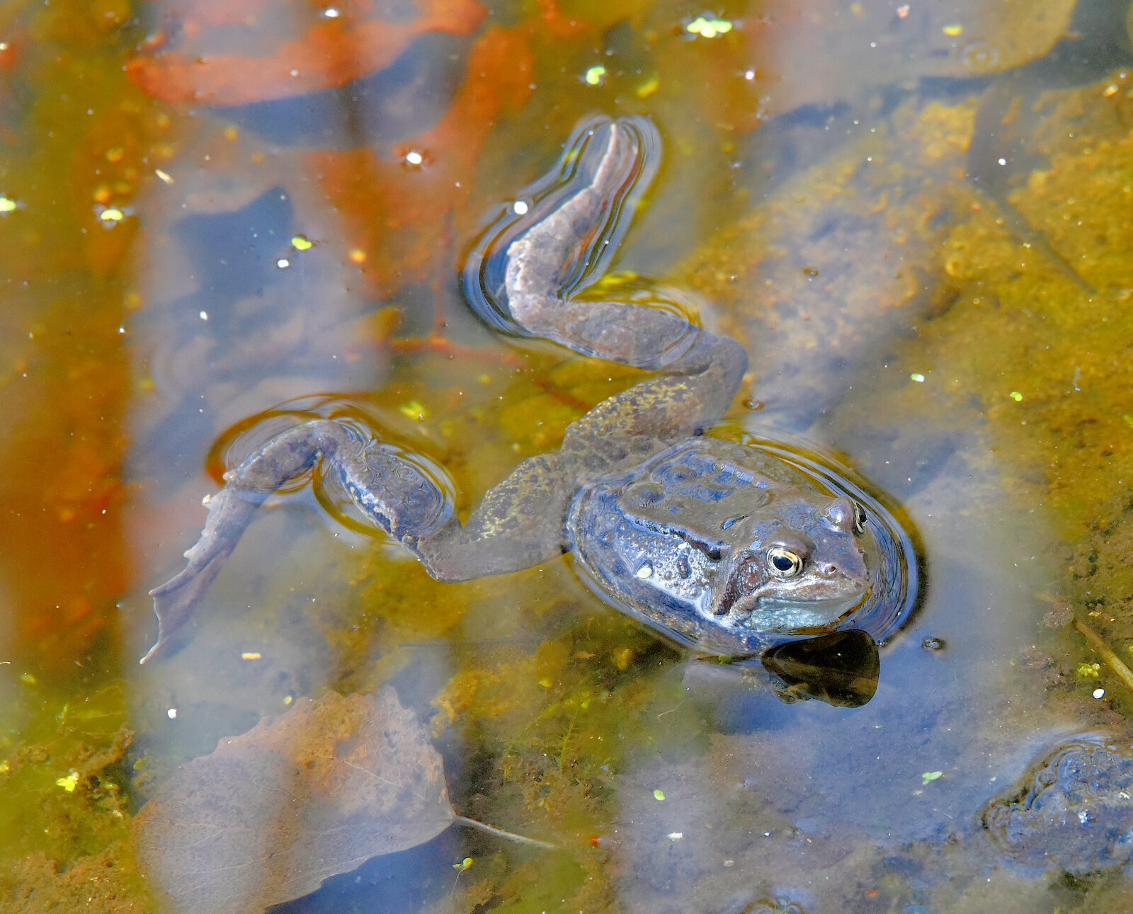 Valokuvaaja: Reijo Juurinen