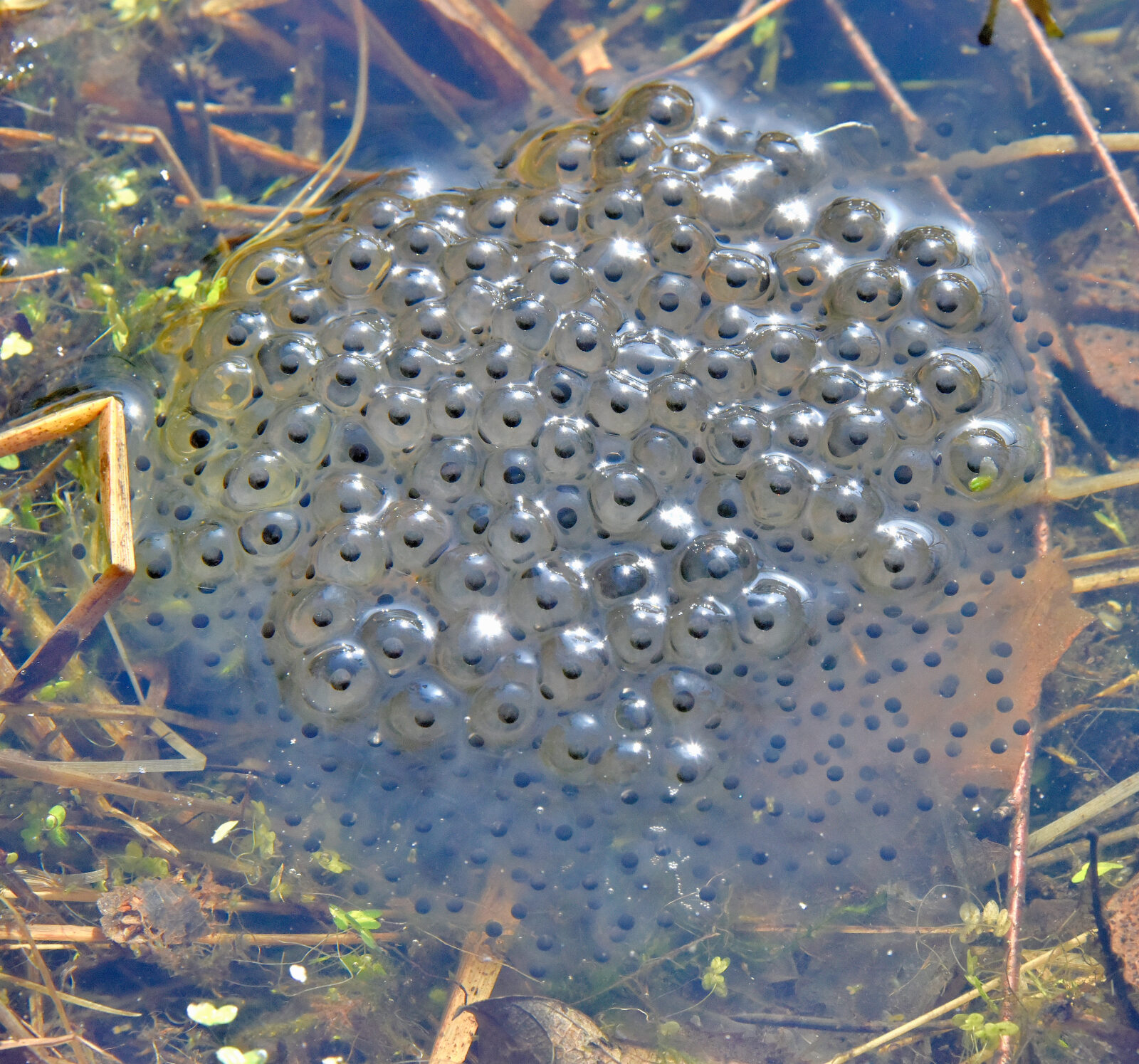 Valokuvaaja: Reijo Juurinen