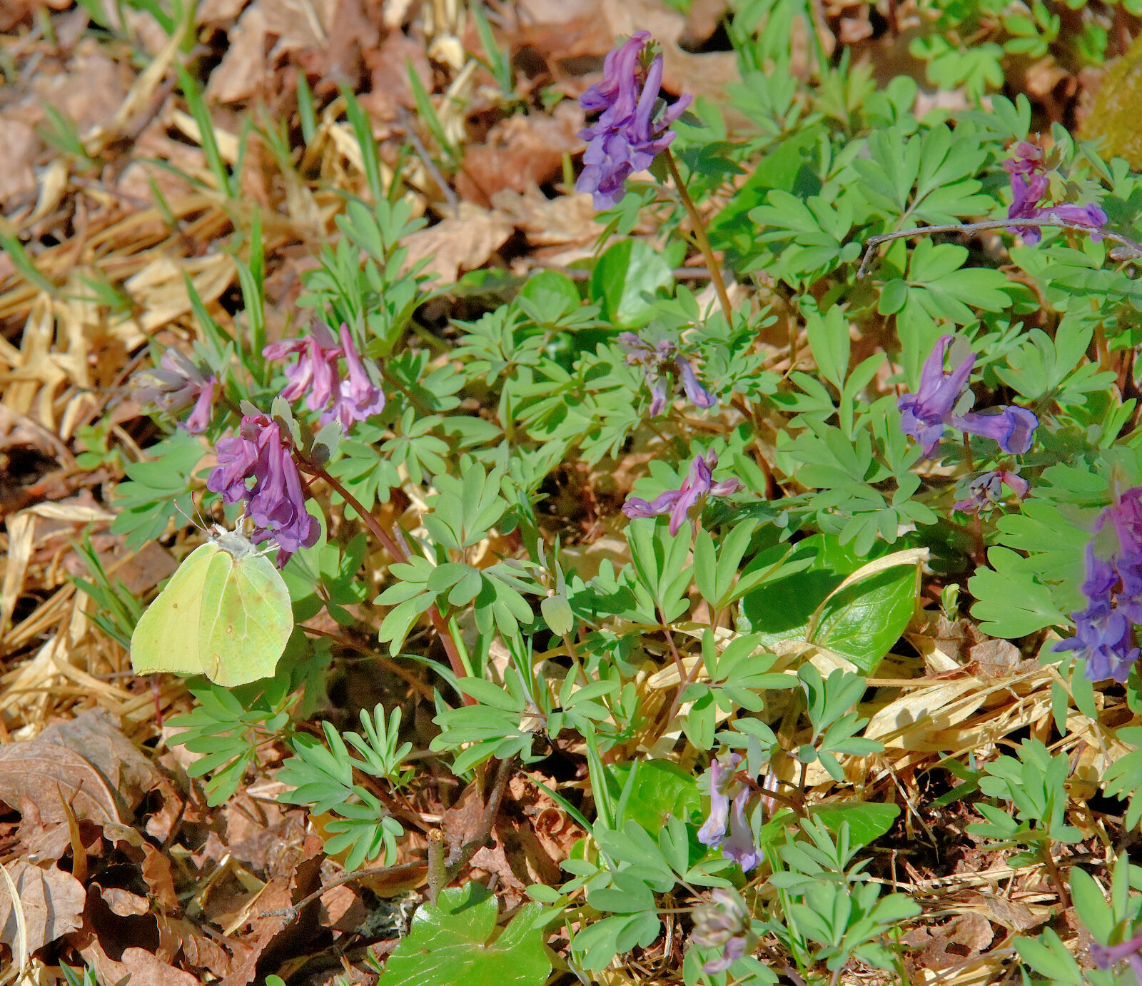 Valokuvaaja: Reijo Juurinen