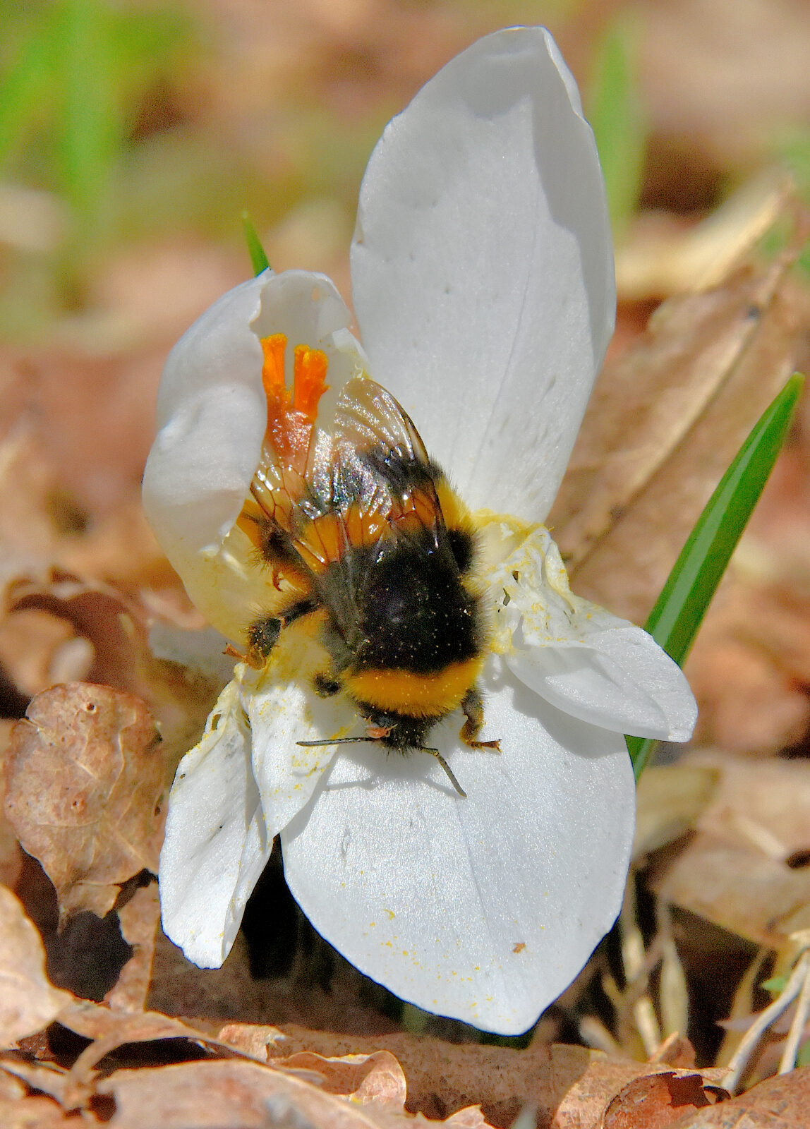 Valokuvaaja: Reijo Juurinen