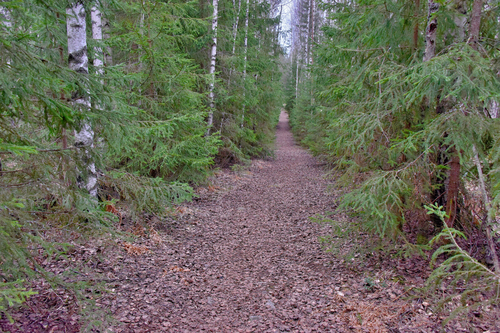 Valokuvaaja: Reijo Juurinen