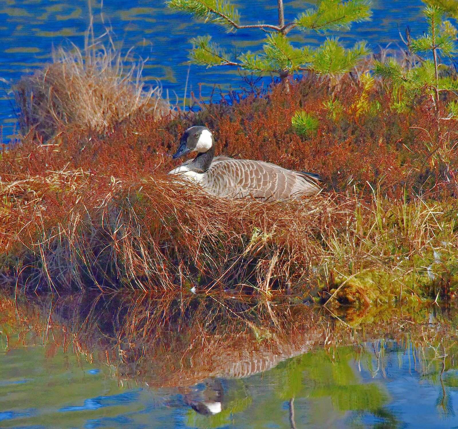 Valokuvaaja: Reijo Juurinen