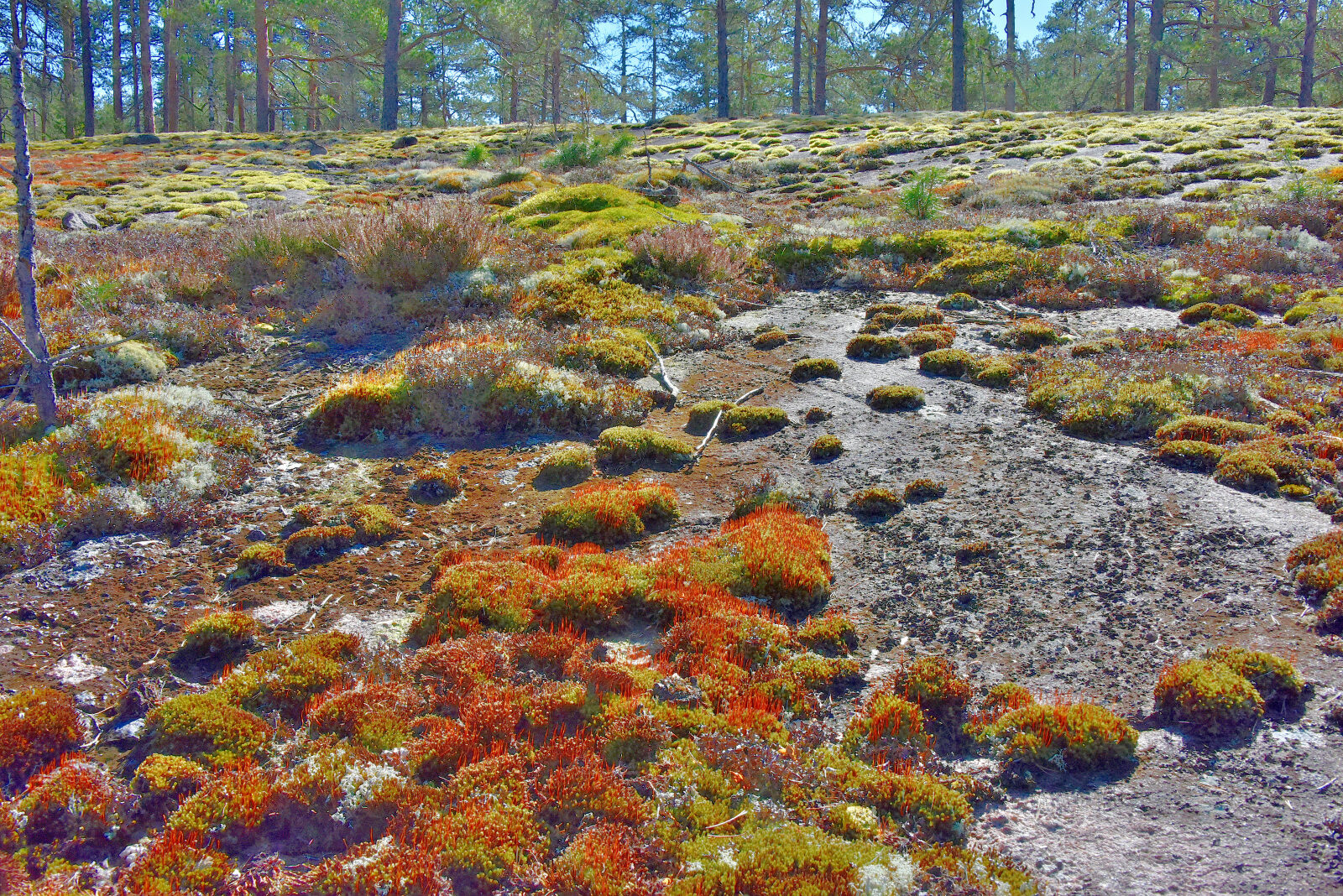 Valokuvaaja: Reijo Juurinen