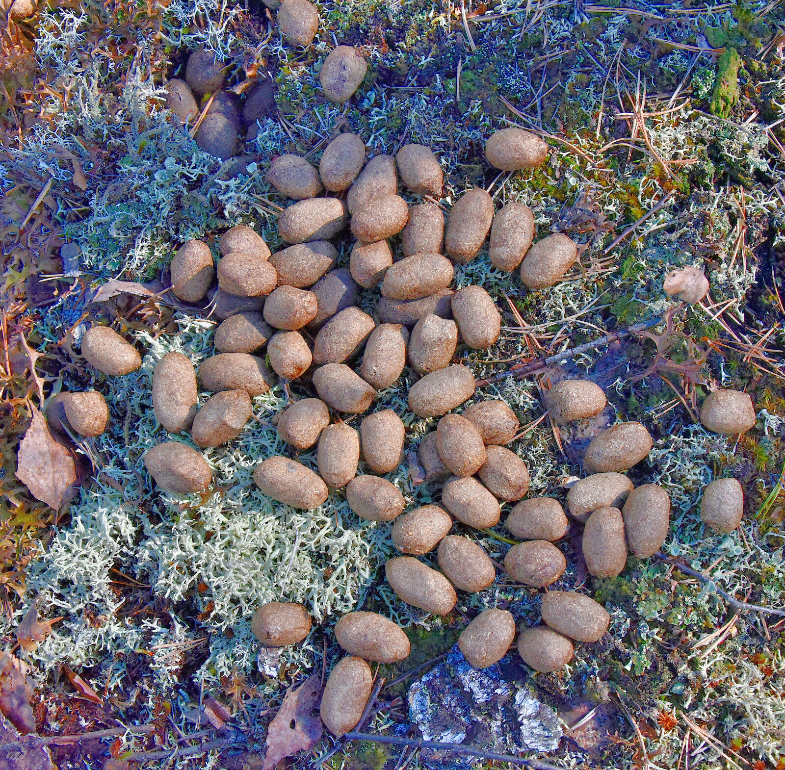 Valokuvaaja: Reijo Juurinen