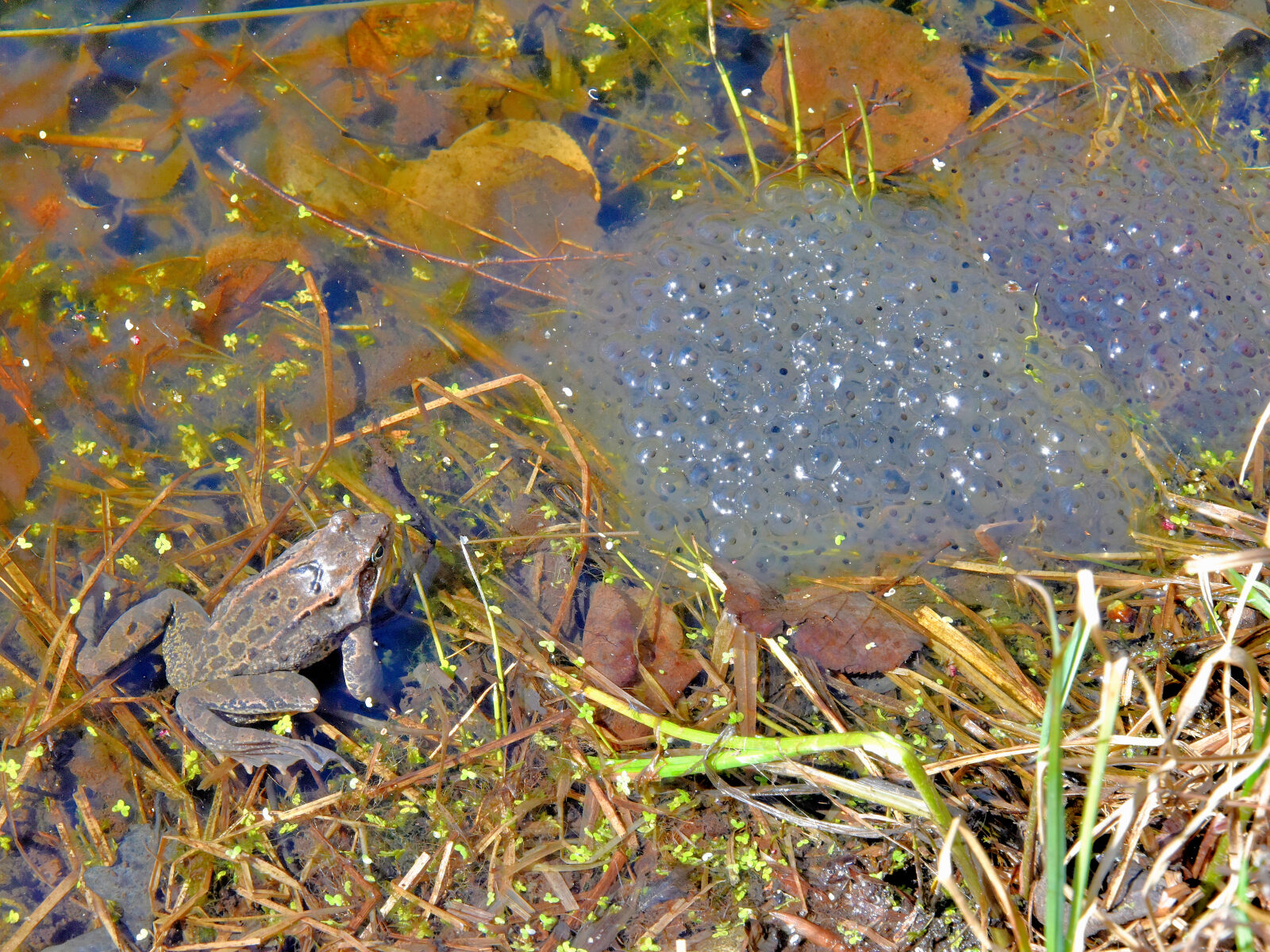Valokuvaaja: Reijo Juurinen