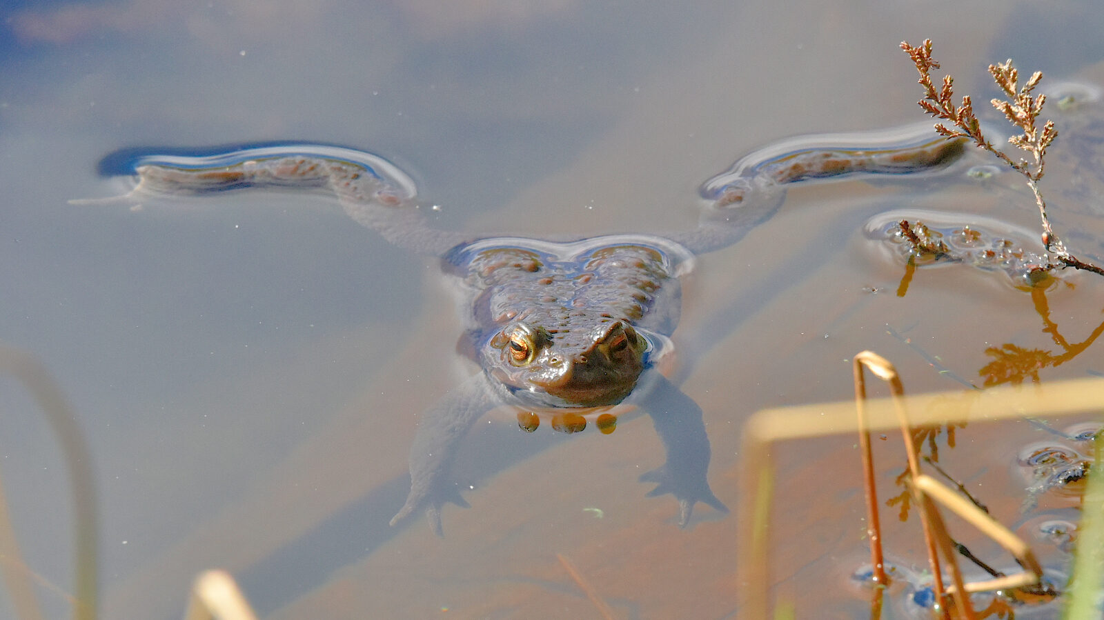 Valokuvaaja: Reijo Juurinen